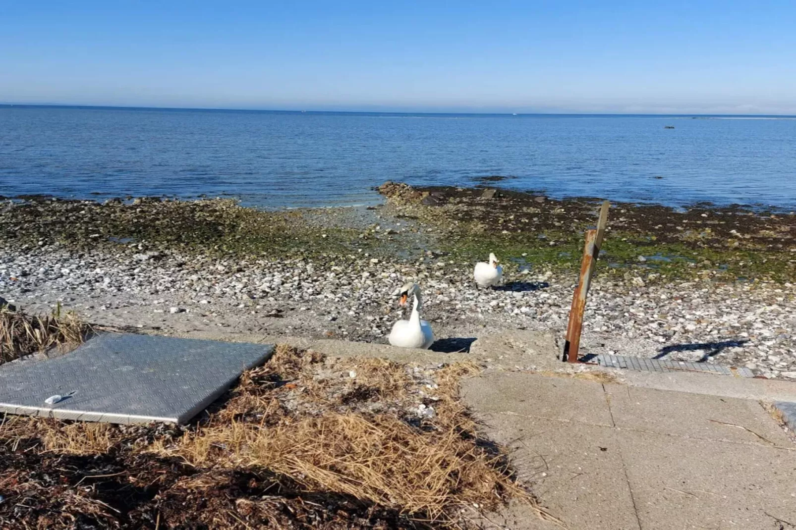 4 person holiday home in Bogense-Water view