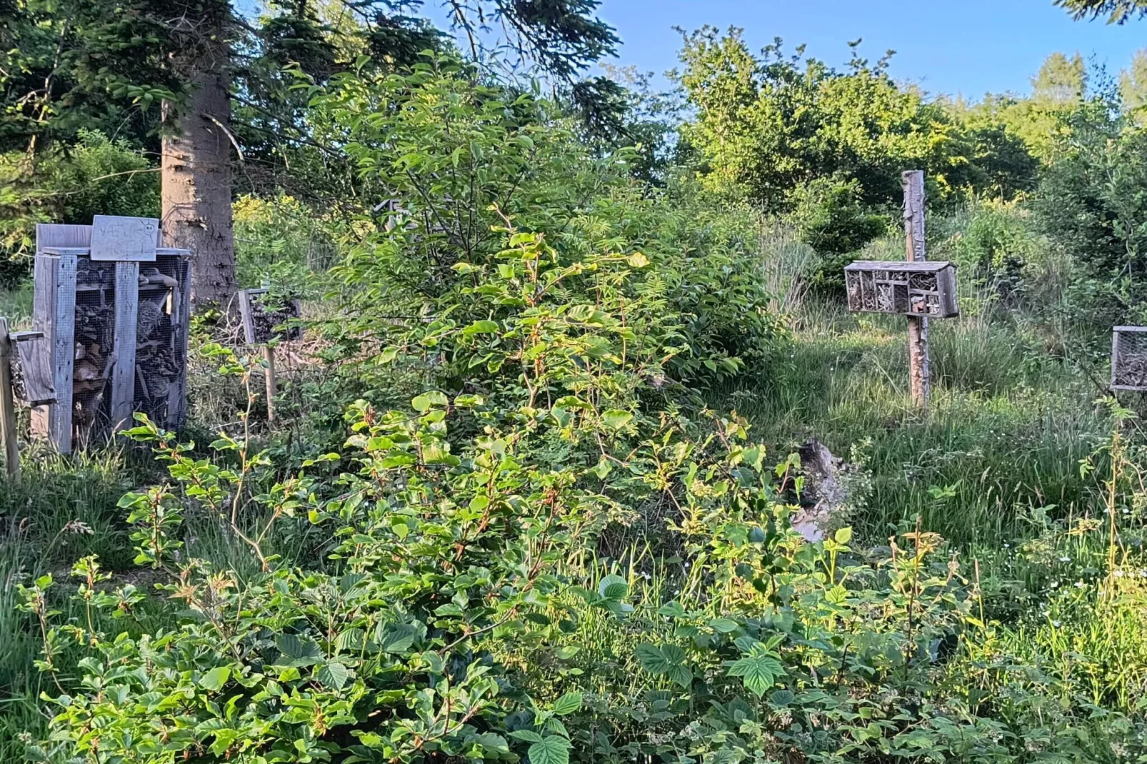 8 person holiday home in Gjern-Untagged