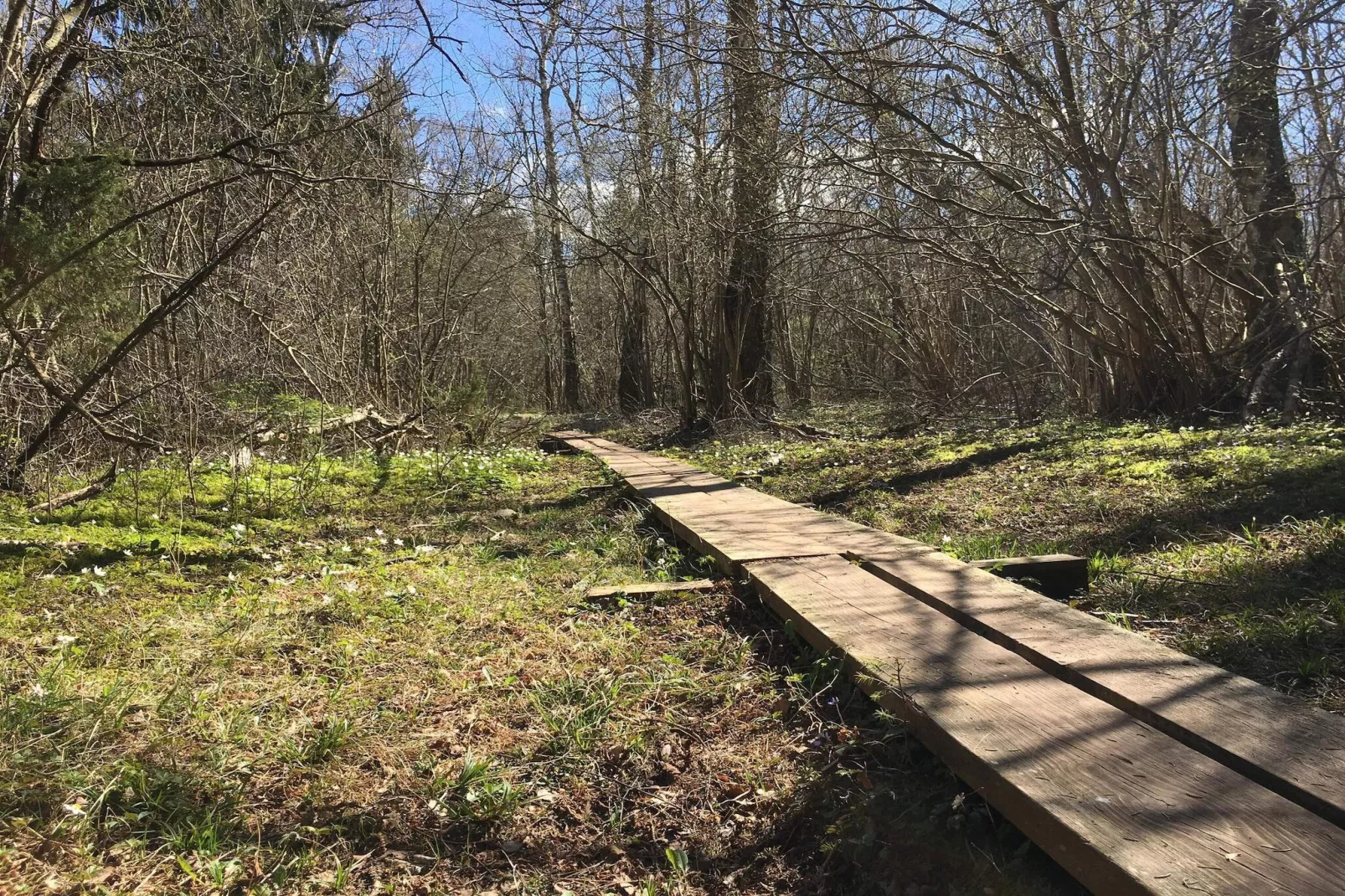 Maison de vacances pour 10 a FÄRJESTADEN-Non tagué