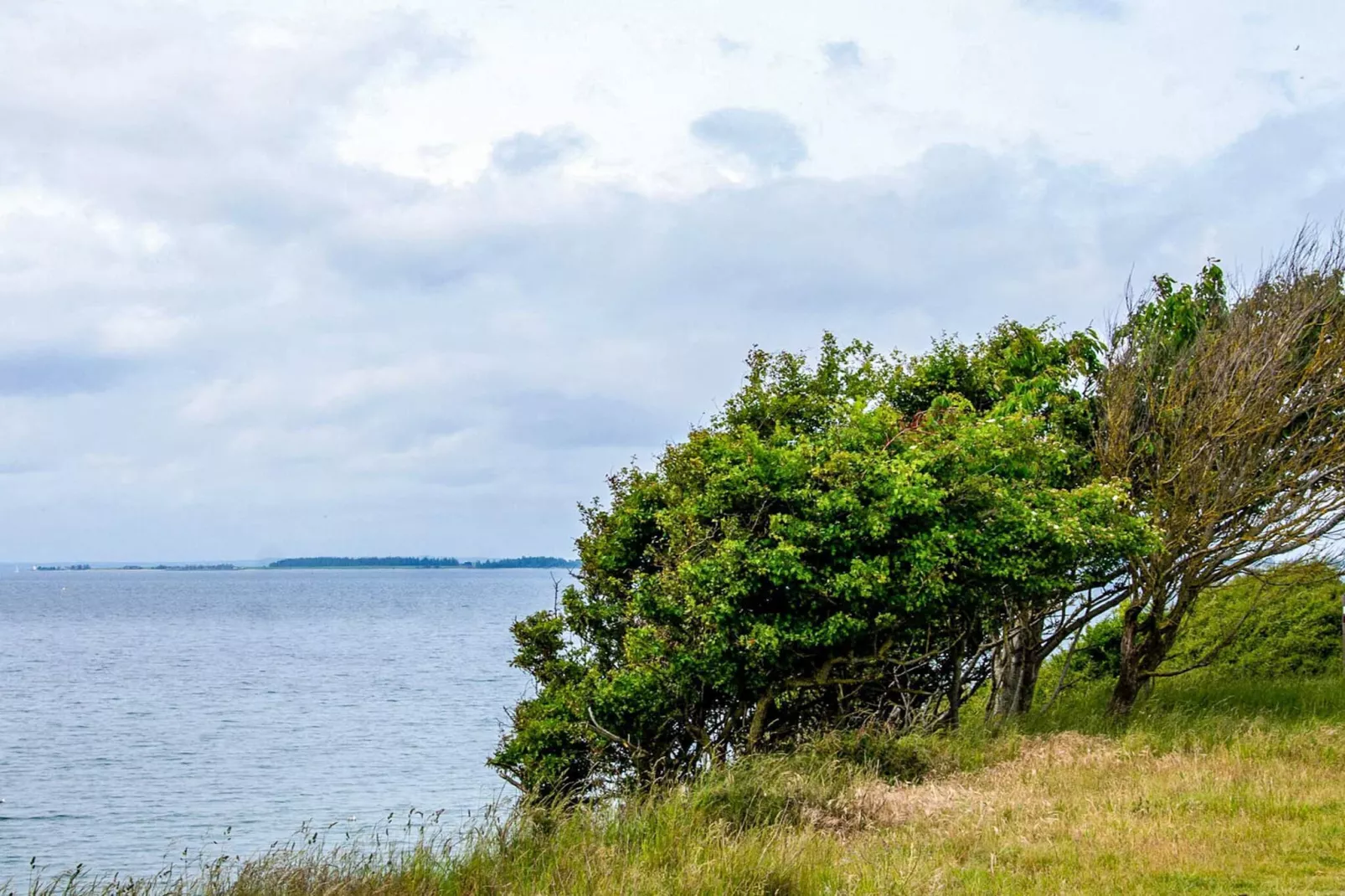 4 person holiday home in Assens-Water view