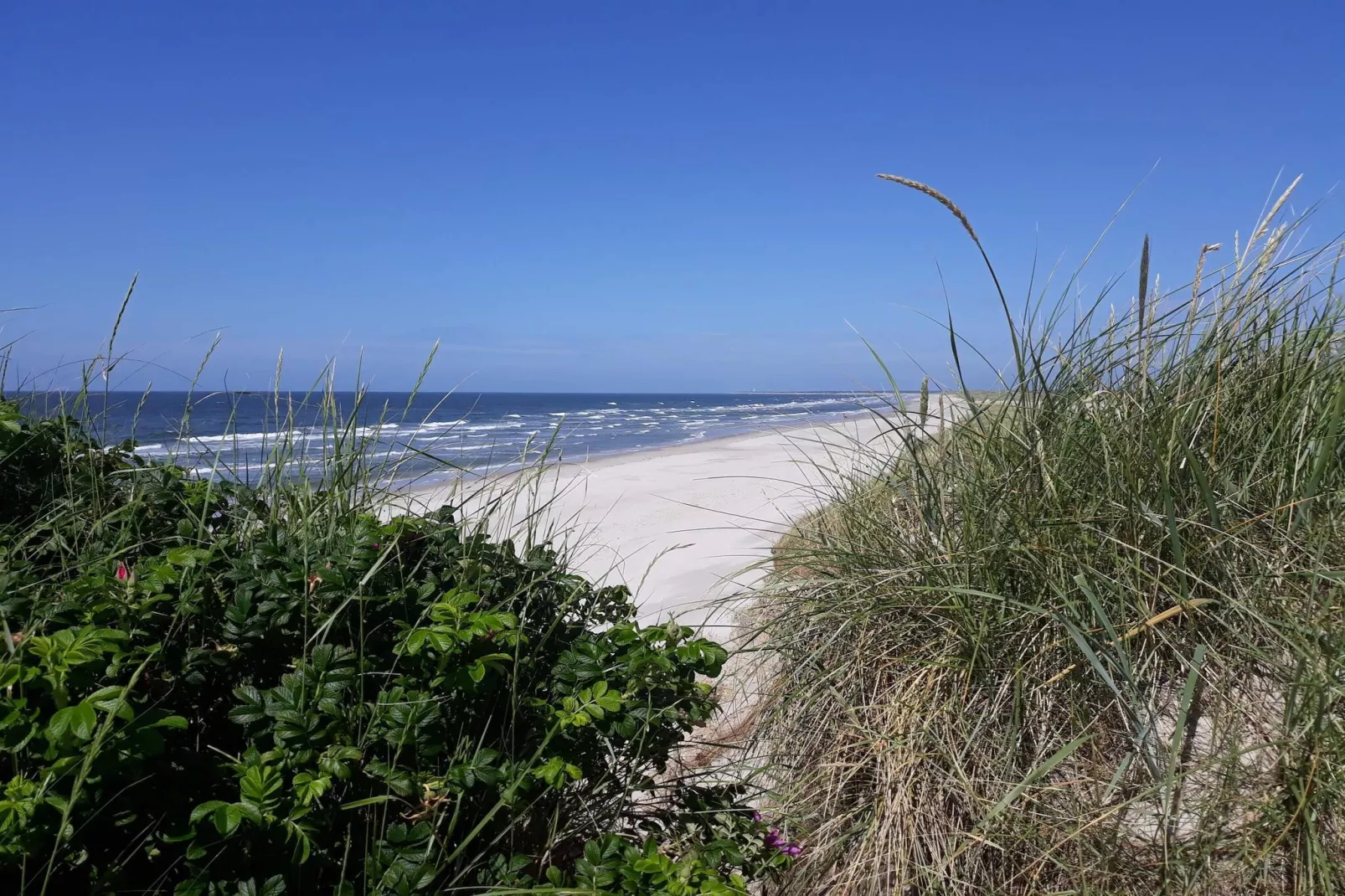 Maison de vacances pour 6 a Blåvand-Vue sur l'eau