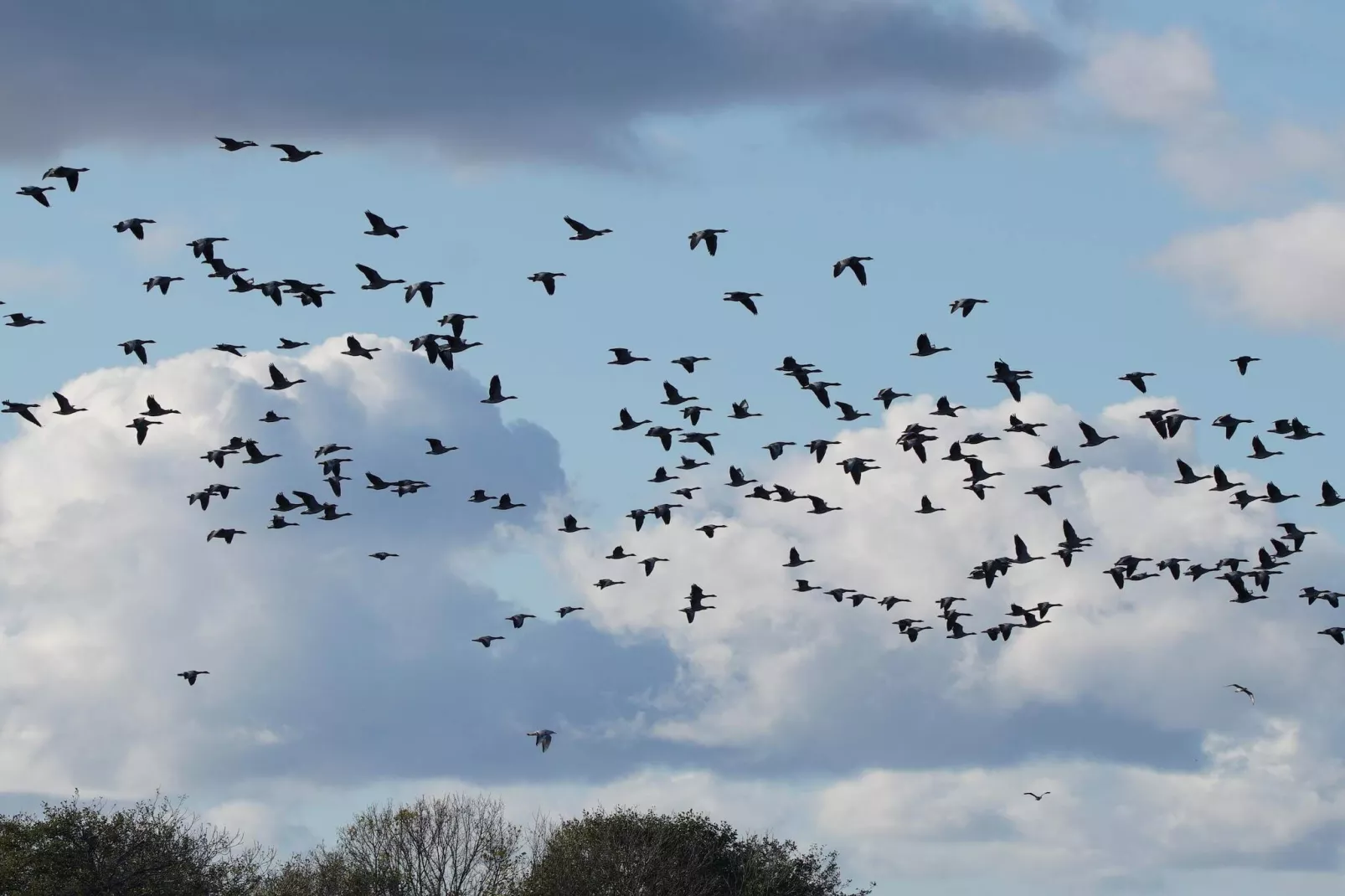 Maison de vacances pour 6 a Ebeltoft-Non tagué