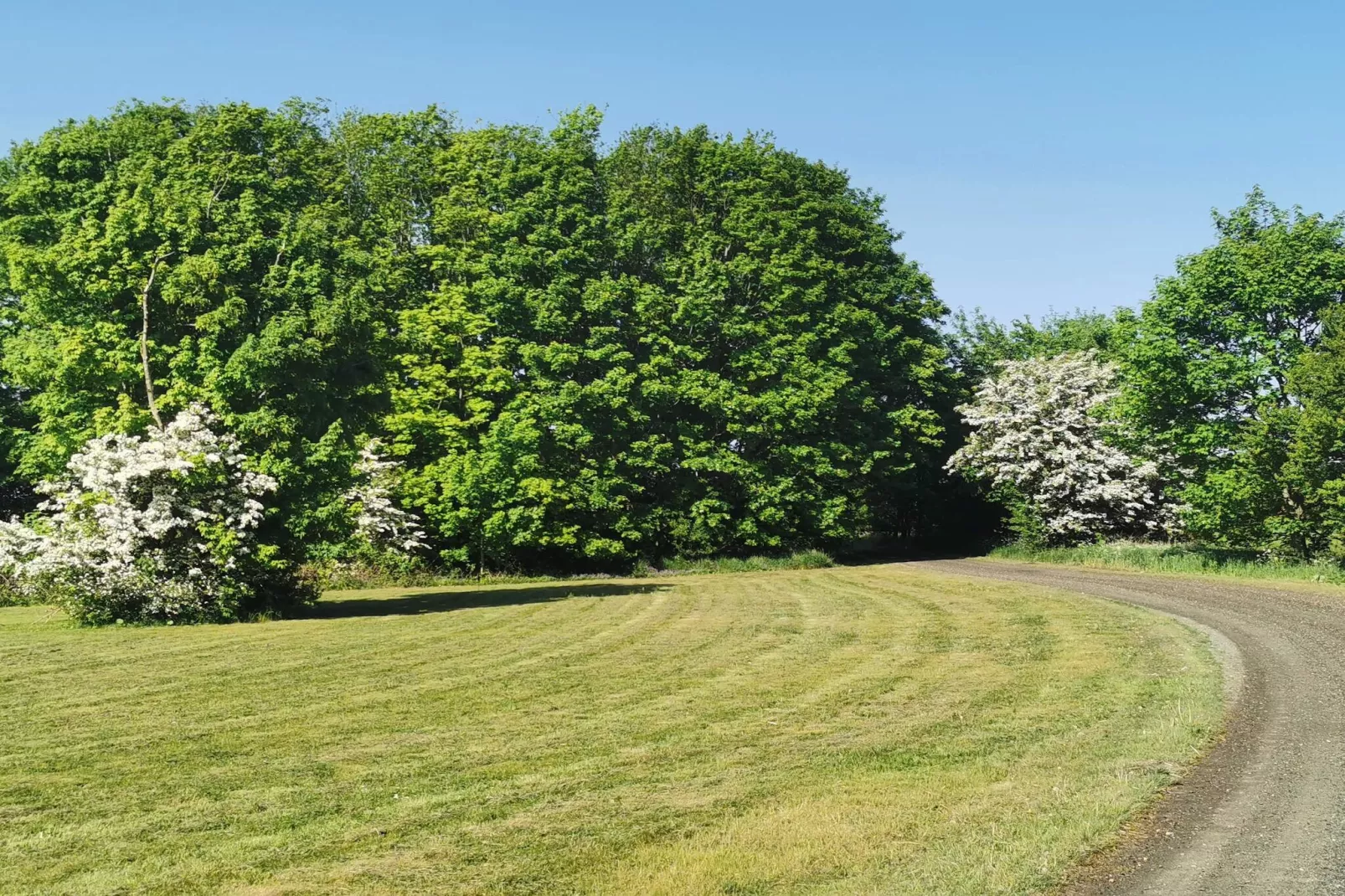 5 person holiday home in Holeby-Untagged