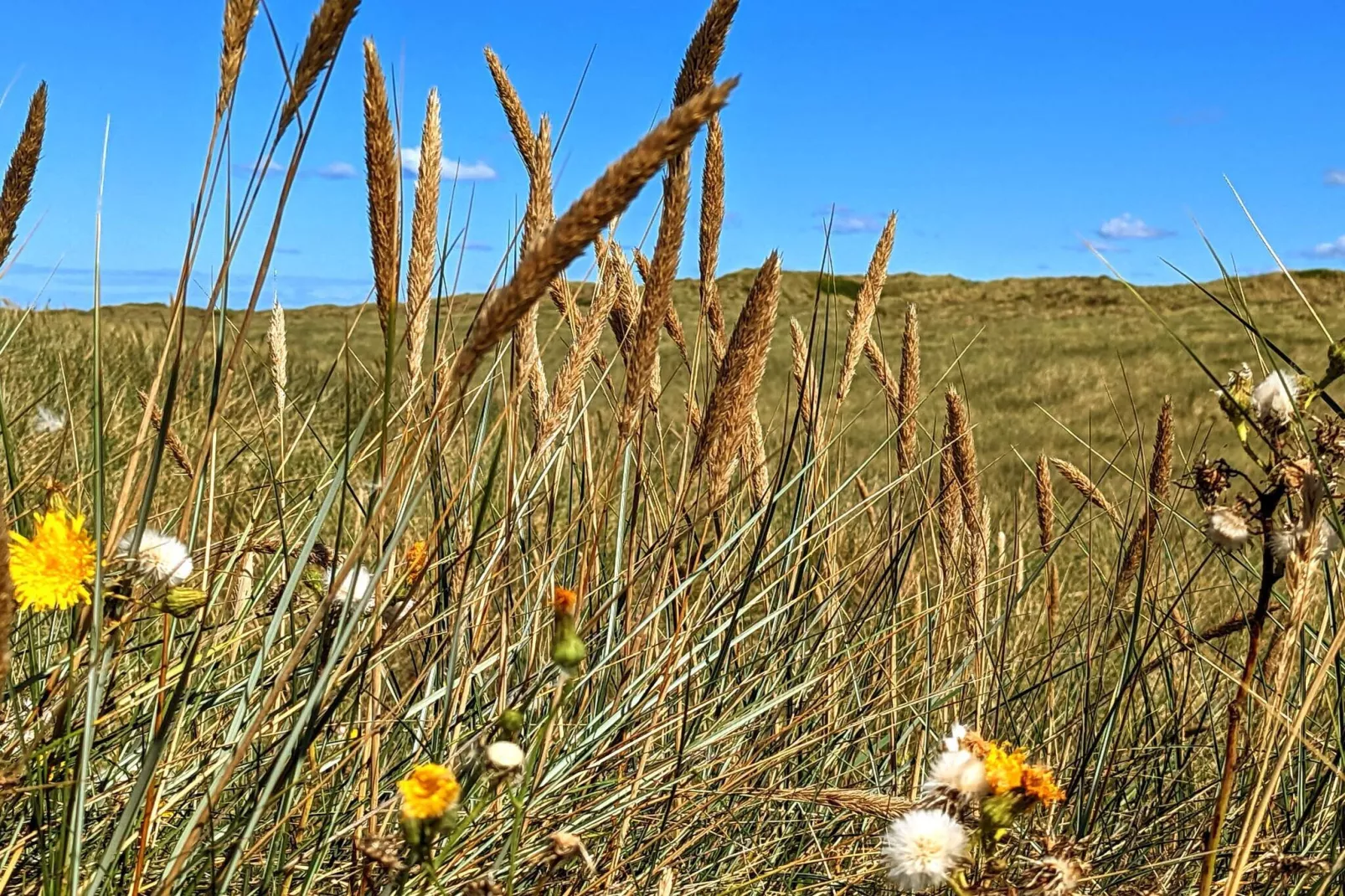 4 person holiday home in Nørre Nebel-Untagged