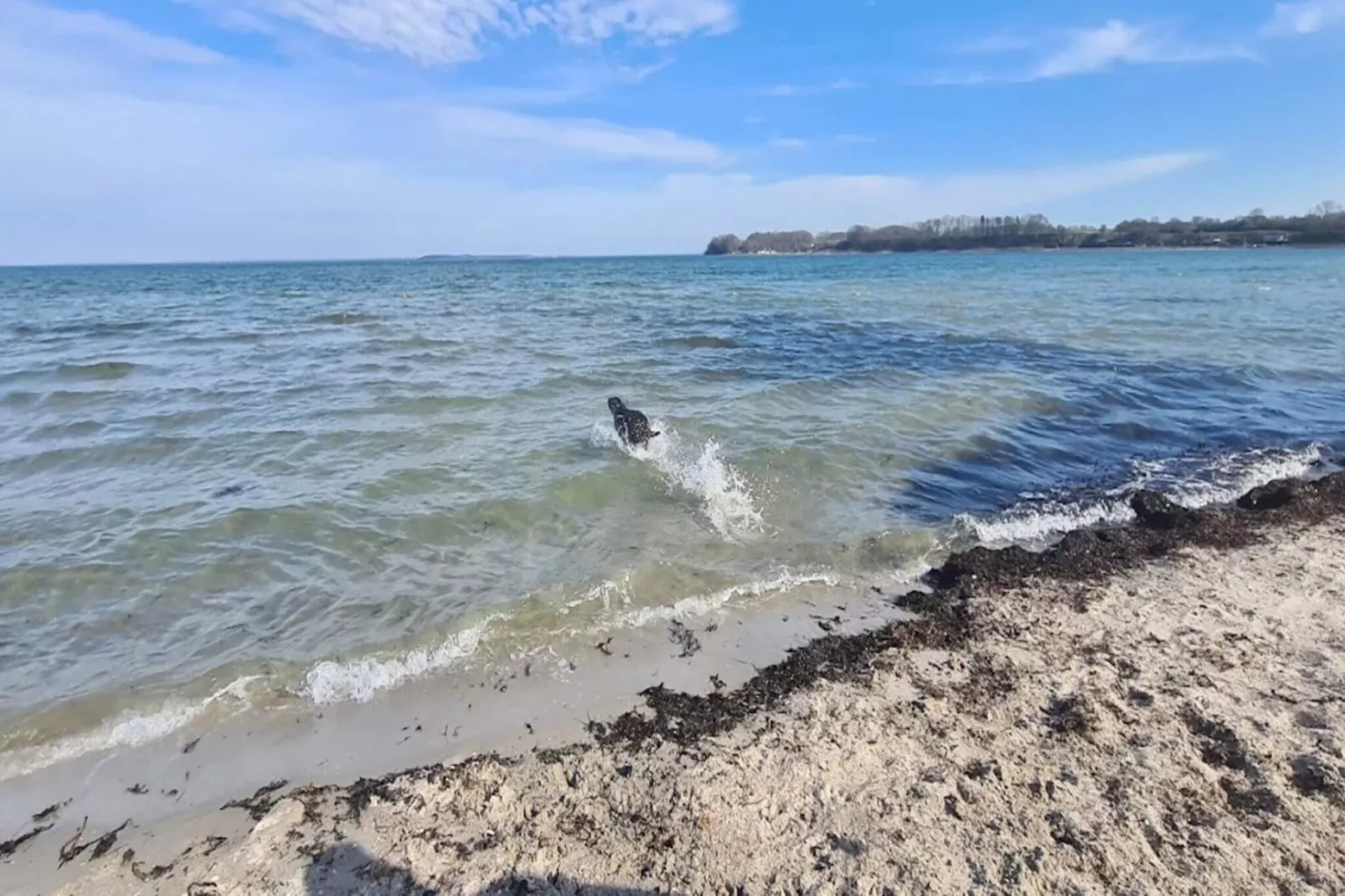 Maison de vacances pour 6 a Hejls-Vue sur l'eau