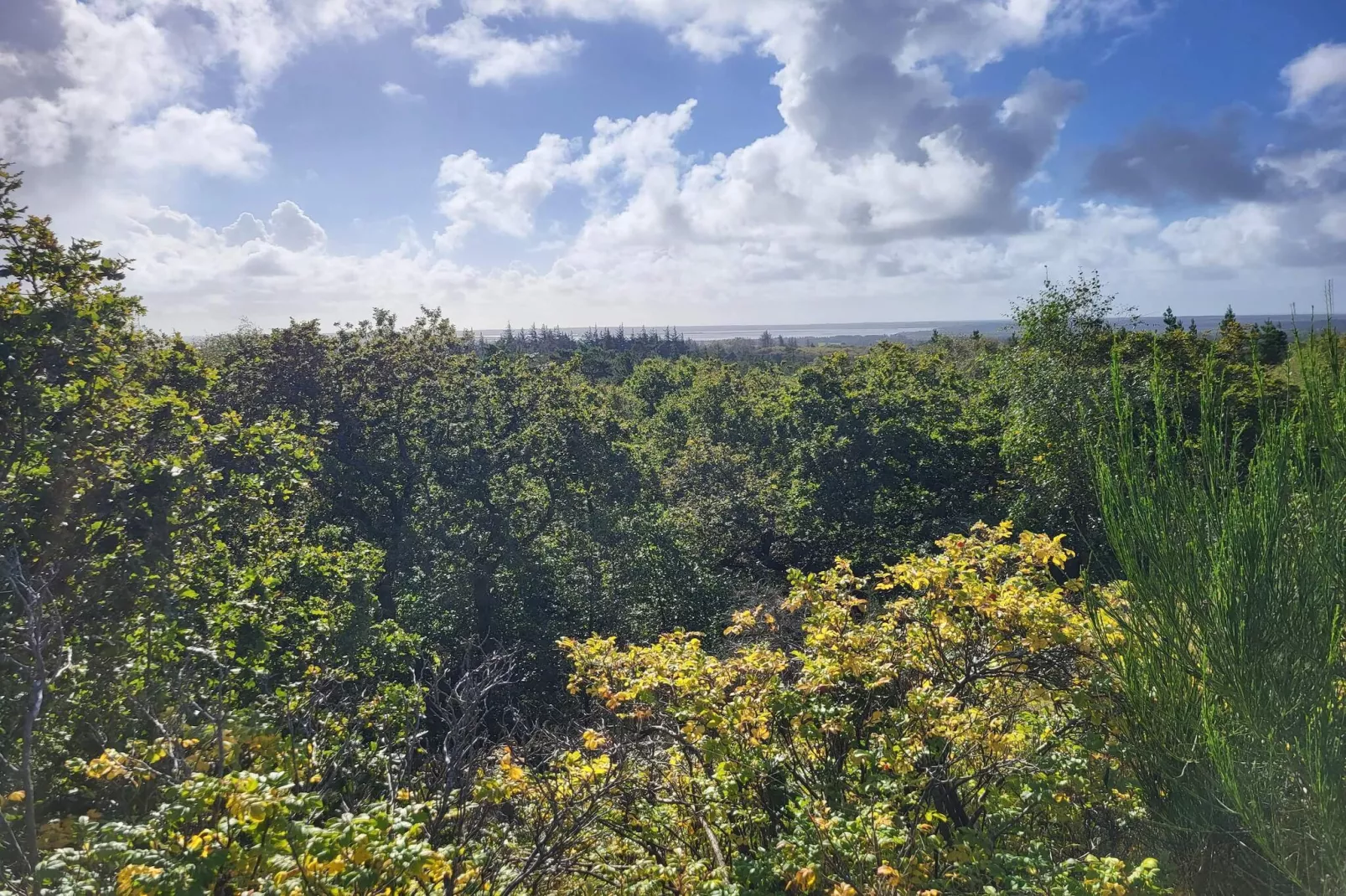 24 persons holiday home in Nørre Nebel-Untagged