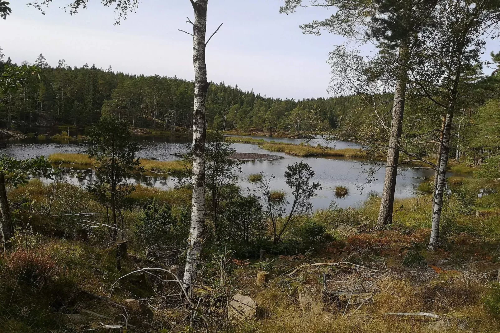4 Personen Ferienhaus in Brålanda-Wasserblick