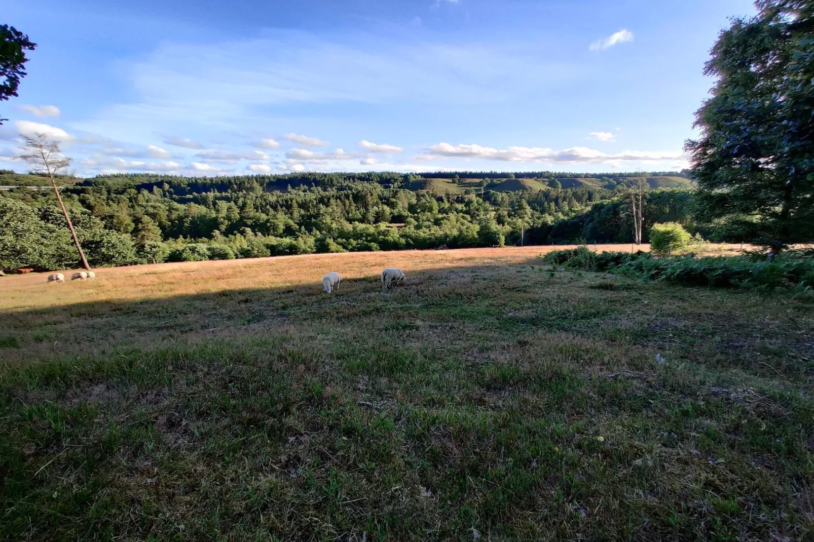 Helle Cottage-Oase in Silkeborg-By Traum-Nicht zugeordnet