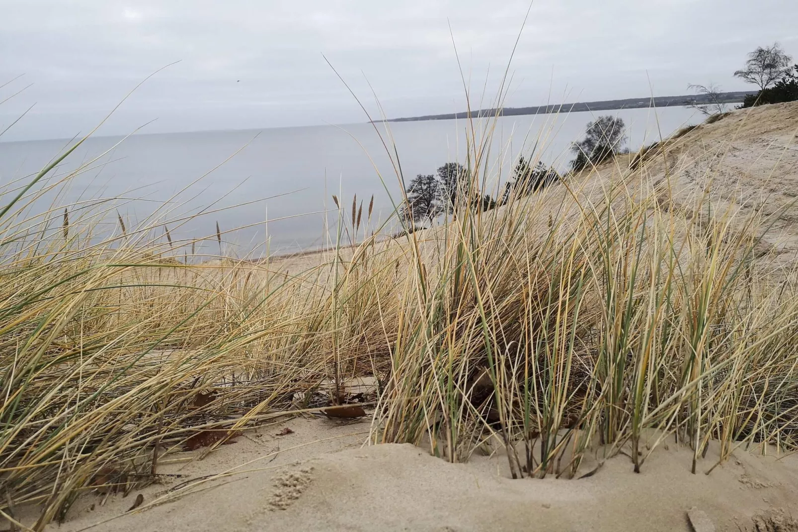 8 Personen Ferienhaus in Børkop-Wasserblick