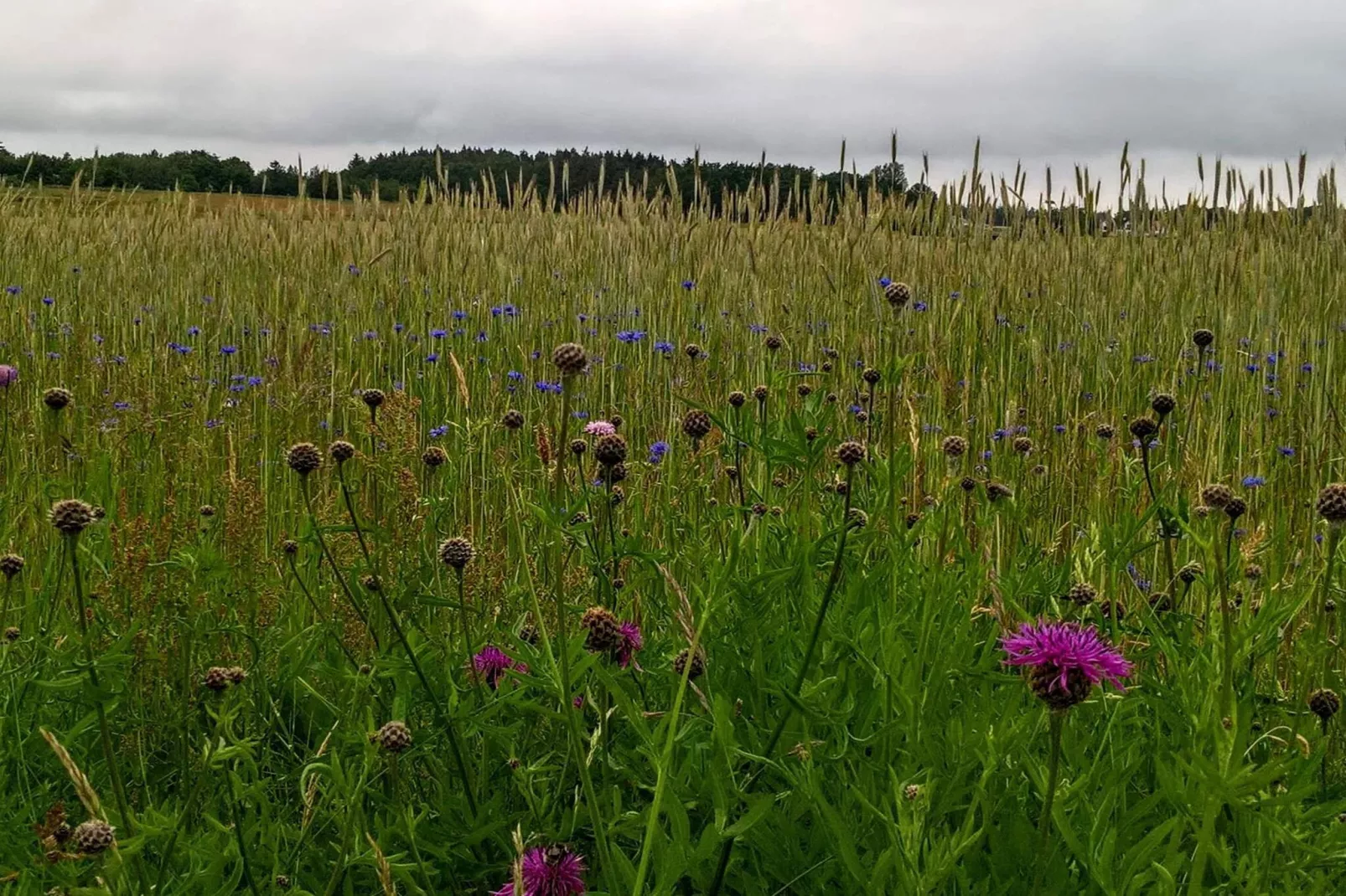 6 person holiday home in Fjerritslev - Untagged