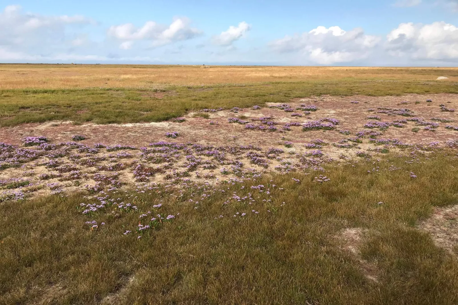 Maison de vacances pour 6 a Læsø-Non tagué