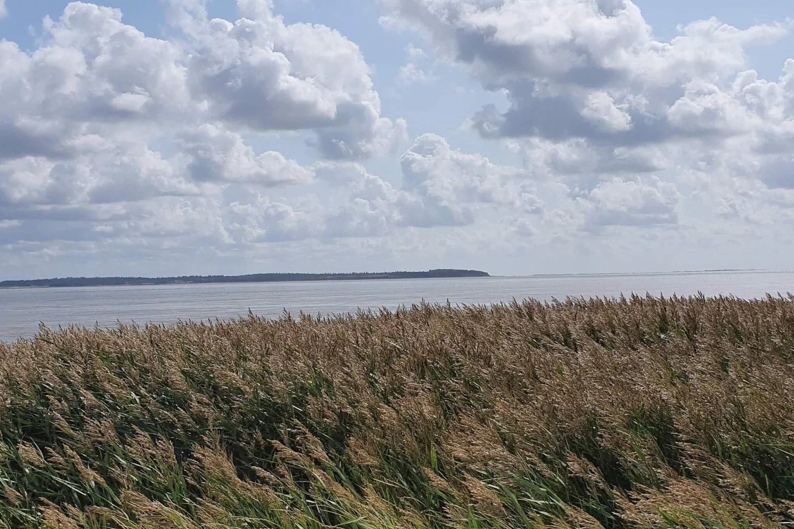 4 person holiday home in Oksbøl-Untagged