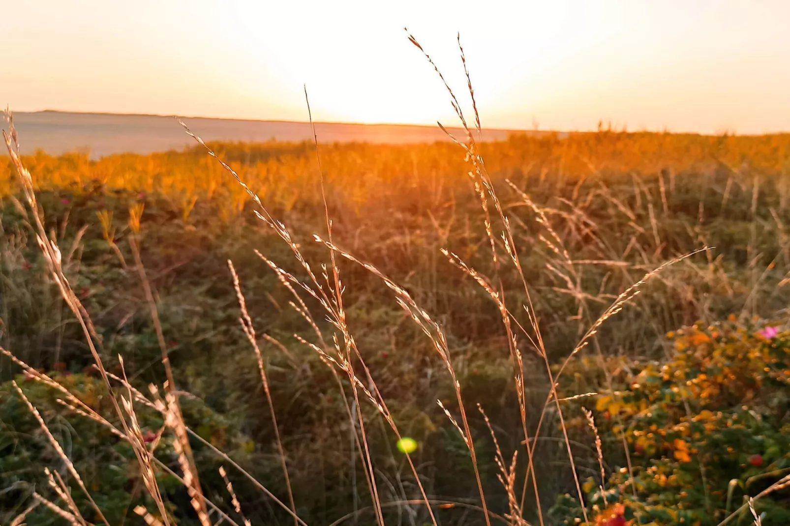 12 person holiday home in Rømø-Untagged