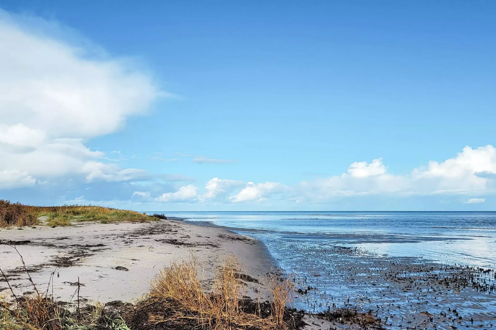 Maison de vacances pour 8 a Væggerløse-Vue sur l'eau