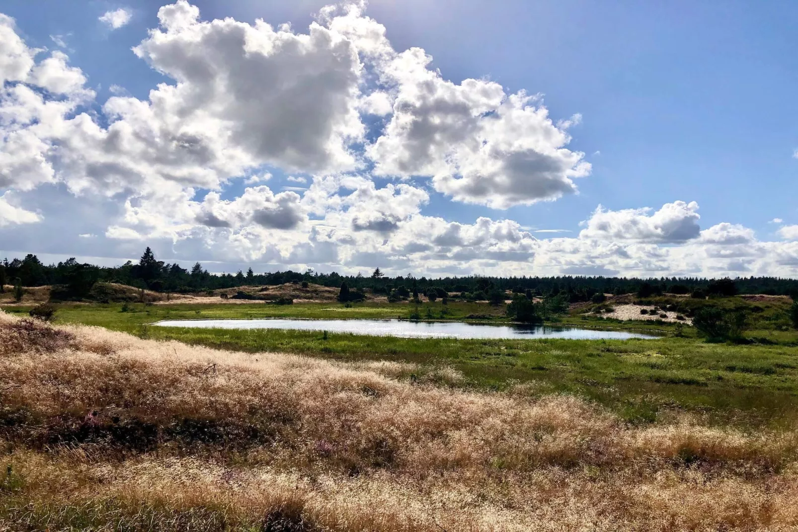 Maison de vacances pour 5 a Hovborg-Non tagué