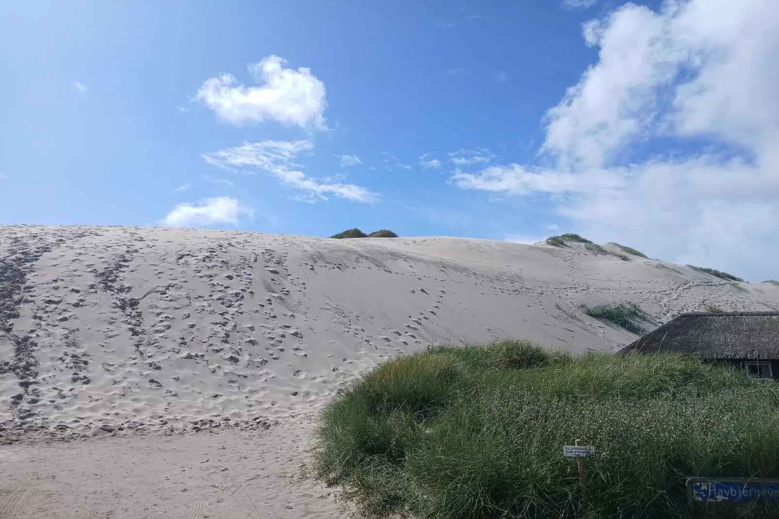 5 Personen Ferienhaus in Hvide Sande-Nicht zugeordnet
