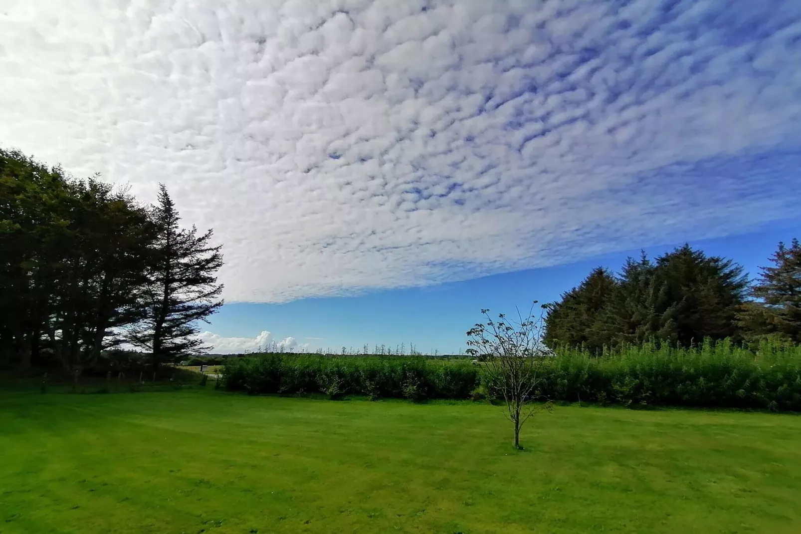 14 person holiday home in Løkken-Outdoor