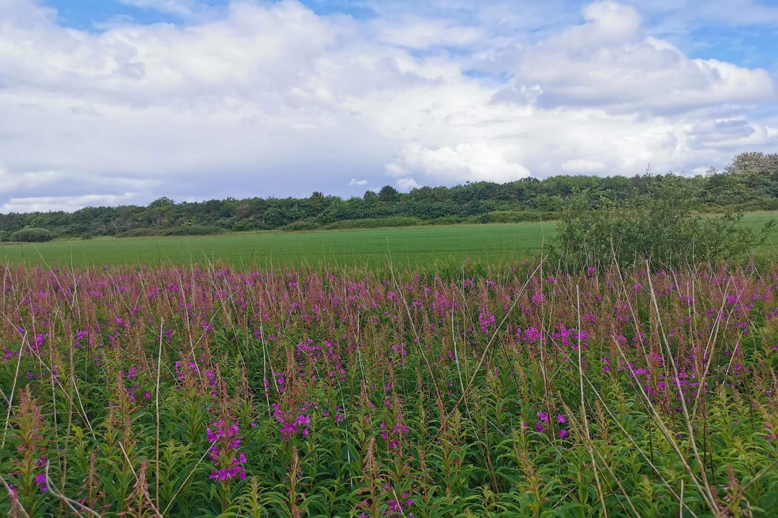 Maison de vacances pour 6 a Nørre Nebel-Non tagué