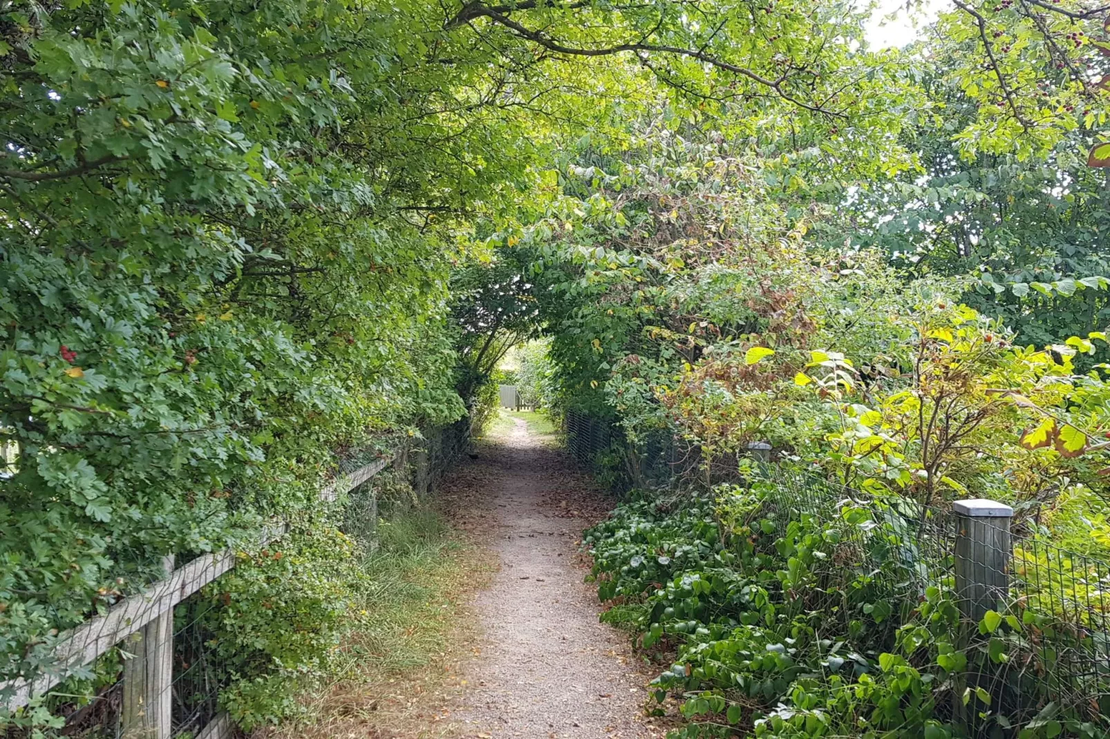 Retraite confortable a Sonderho -- By Traum Ferienwohnungen-Non tagué