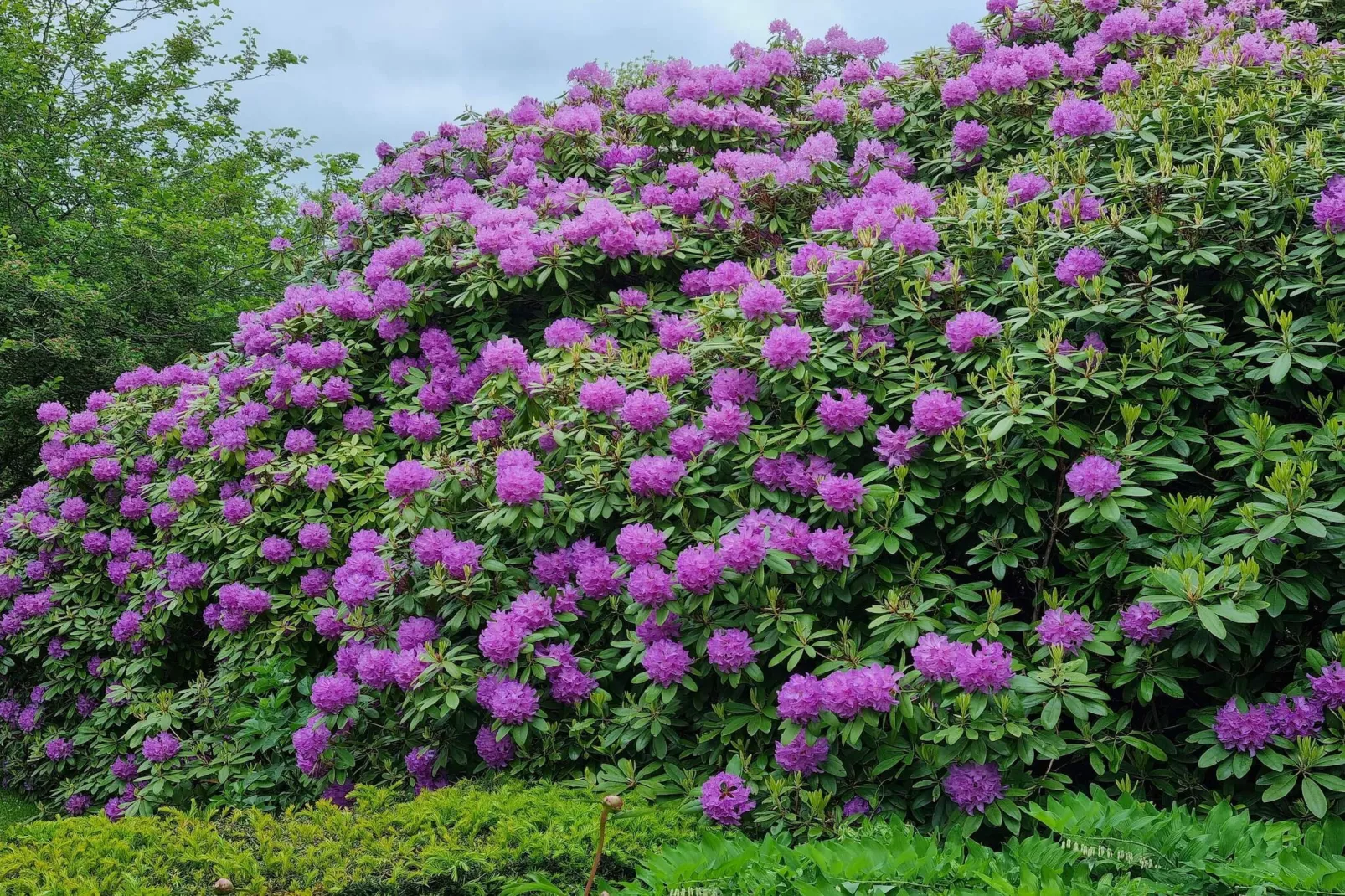 5 person holiday home in Højer-By Traum-Untagged