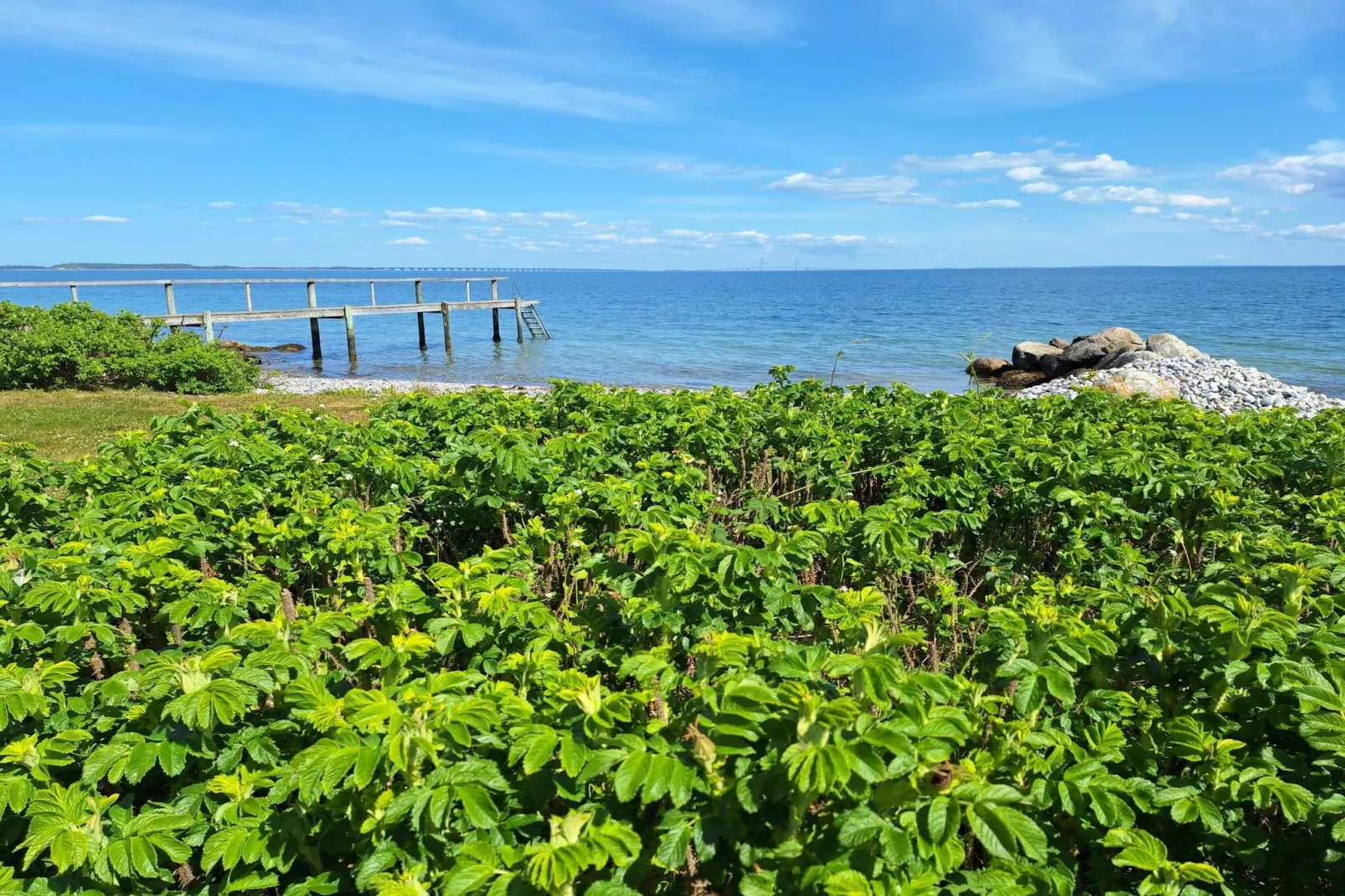 5 Personen Ferienhaus in Frørup-By Traum-Wasserblick