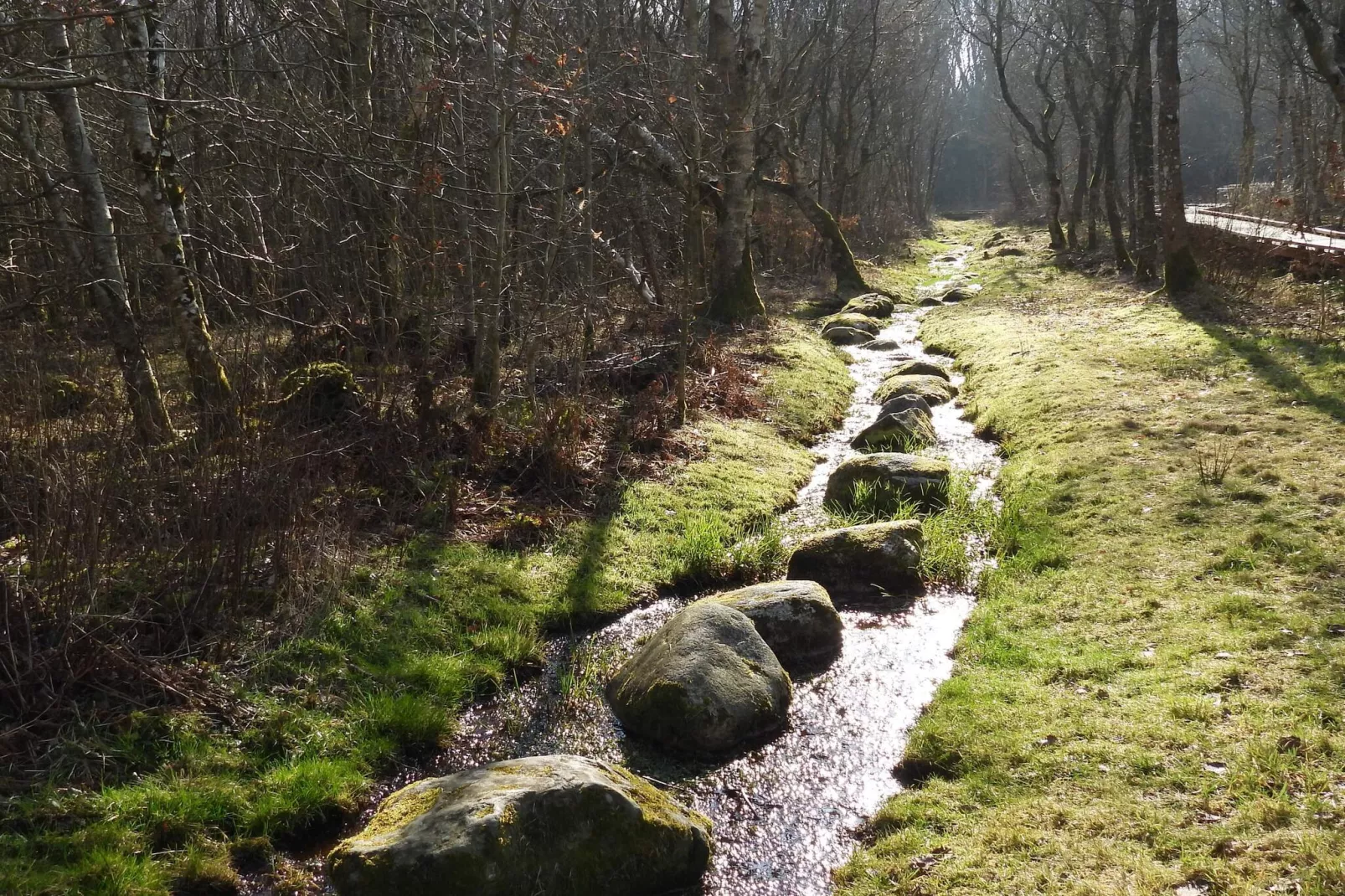 Maison rustique avec cheminée-Non tagué
