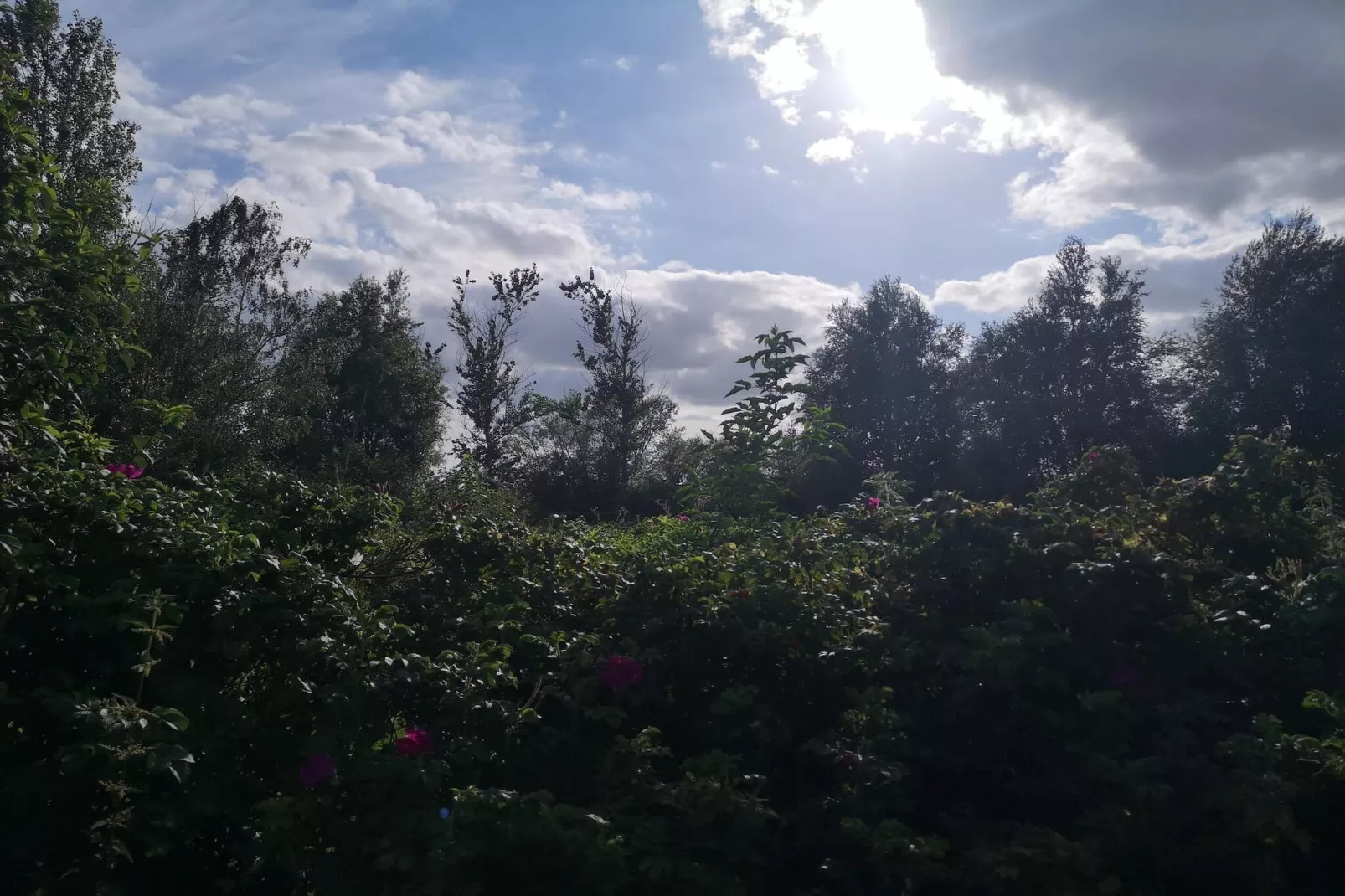 6 person holiday home in Idestrup-By Traum-Untagged