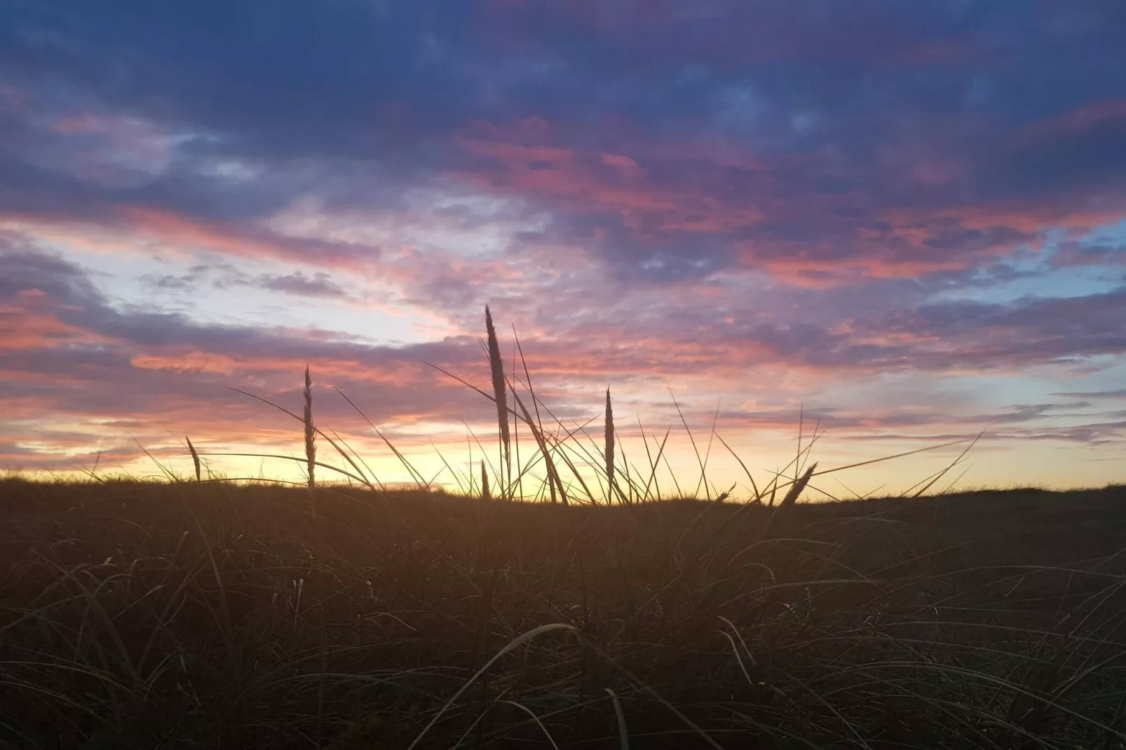 8 person holiday home in Vestervig-By Traum-Untagged