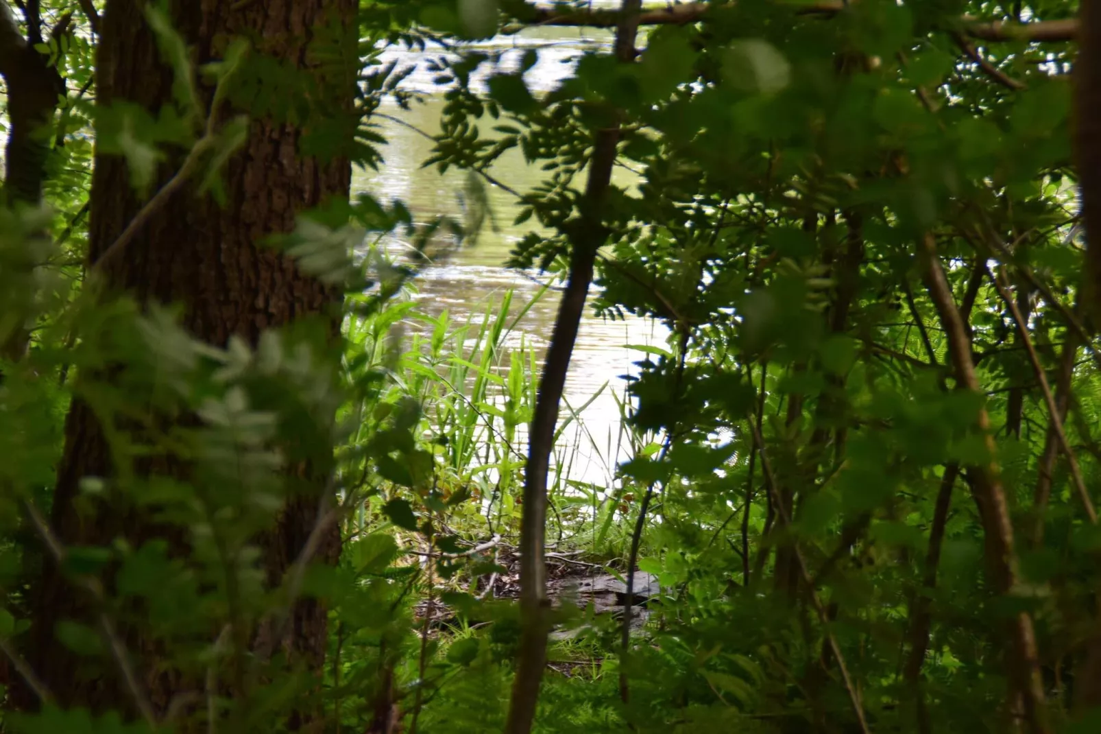 Luxury Retreat by Ho Bay - By Traum Ferienwohnungen-Untagged