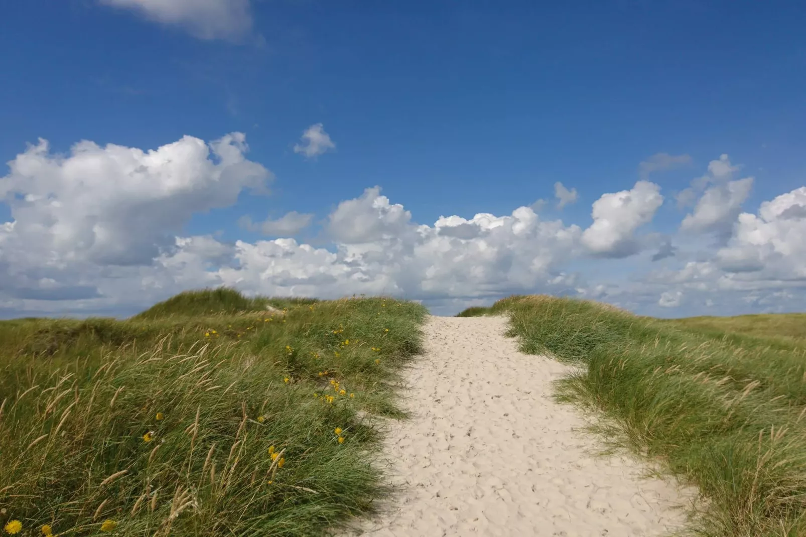 Strandparadies in Graerup -- By Traum Ferienwohnungen-Nicht zugeordnet