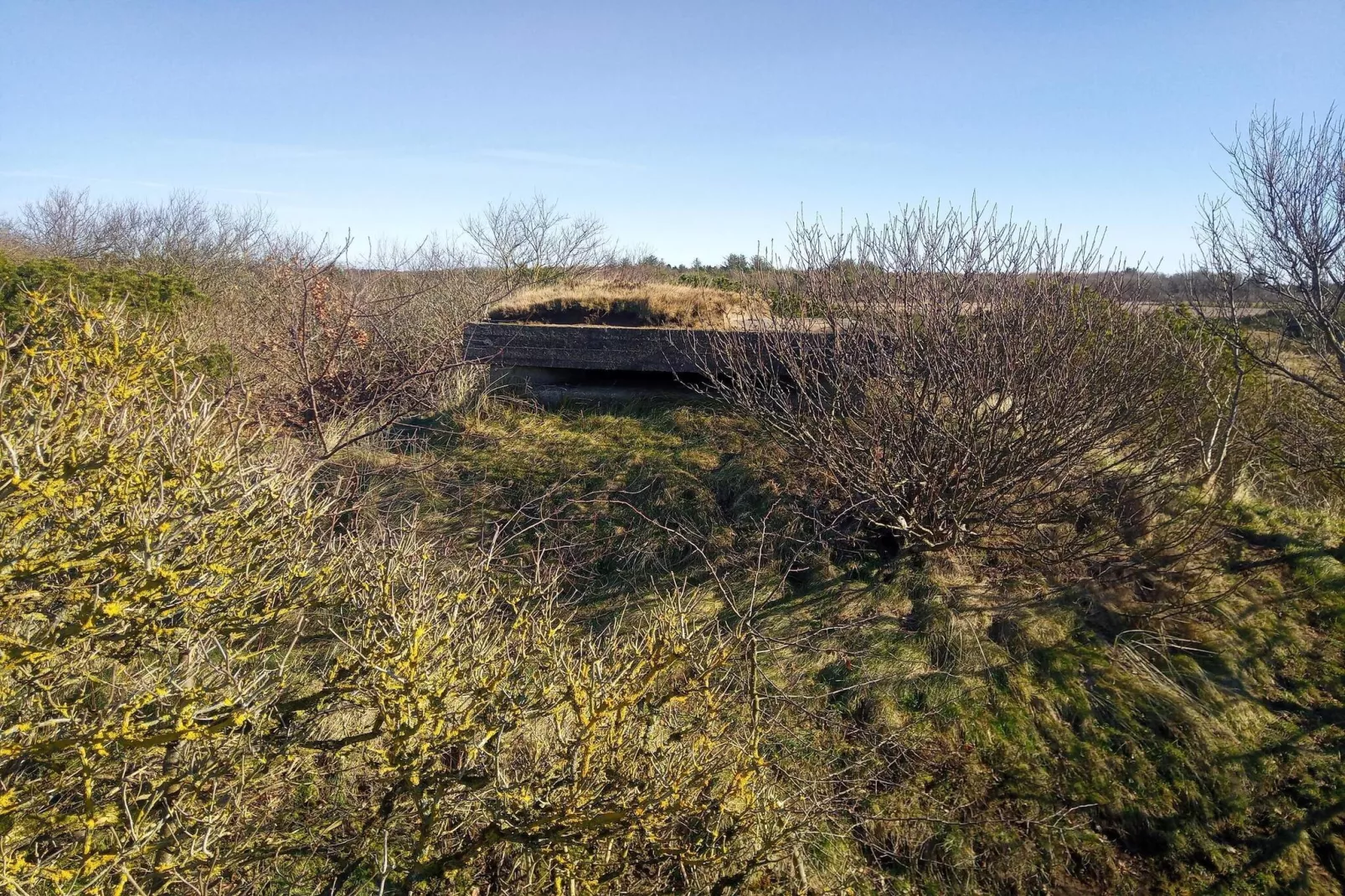 10 Personen Ferienhaus in Skjern-By Traum-Nicht zugeordnet