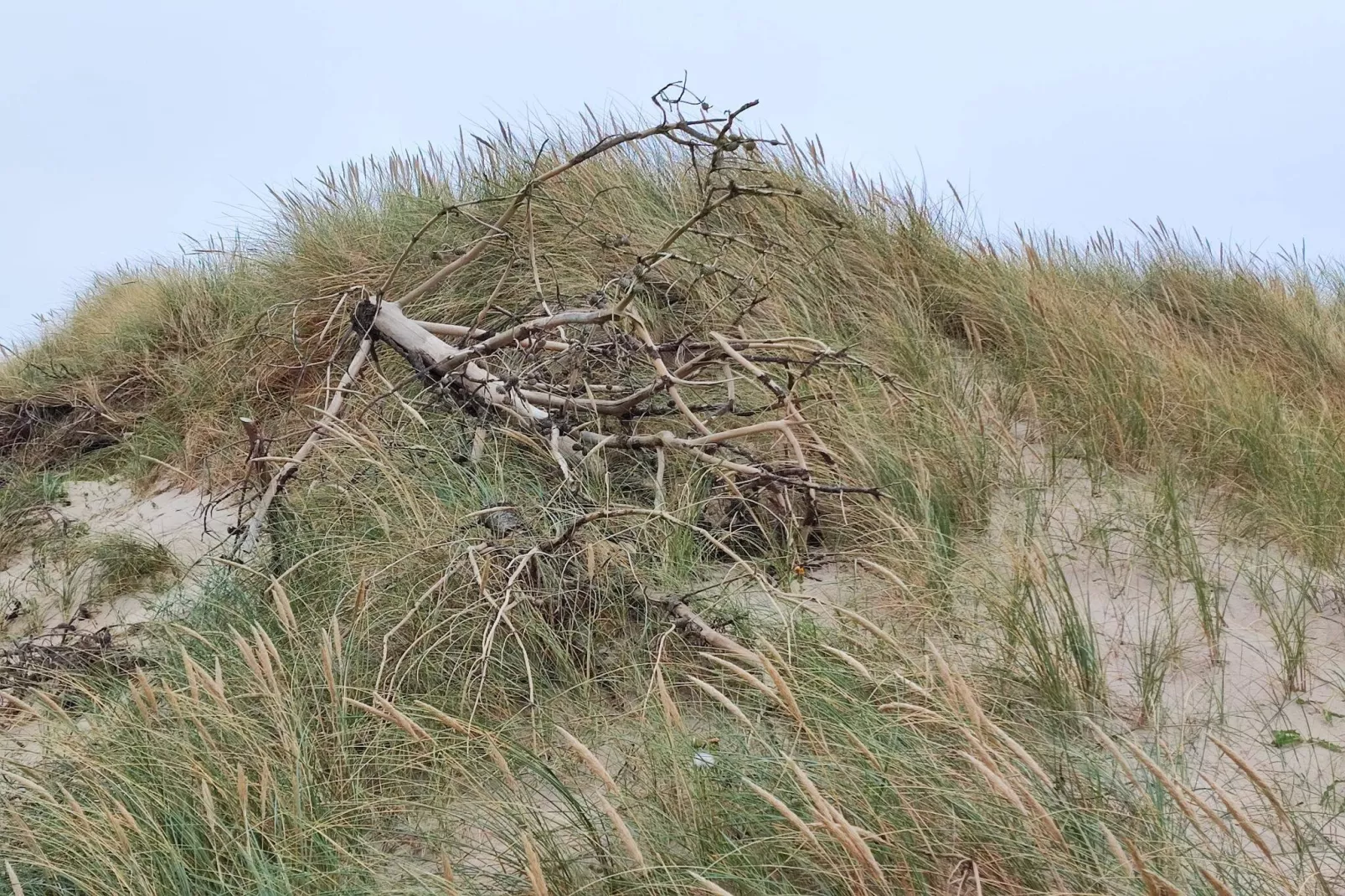 Luxurioses Pool-Retreat am Meer -- By Traum Ferienwohnungen-Nicht zugeordnet