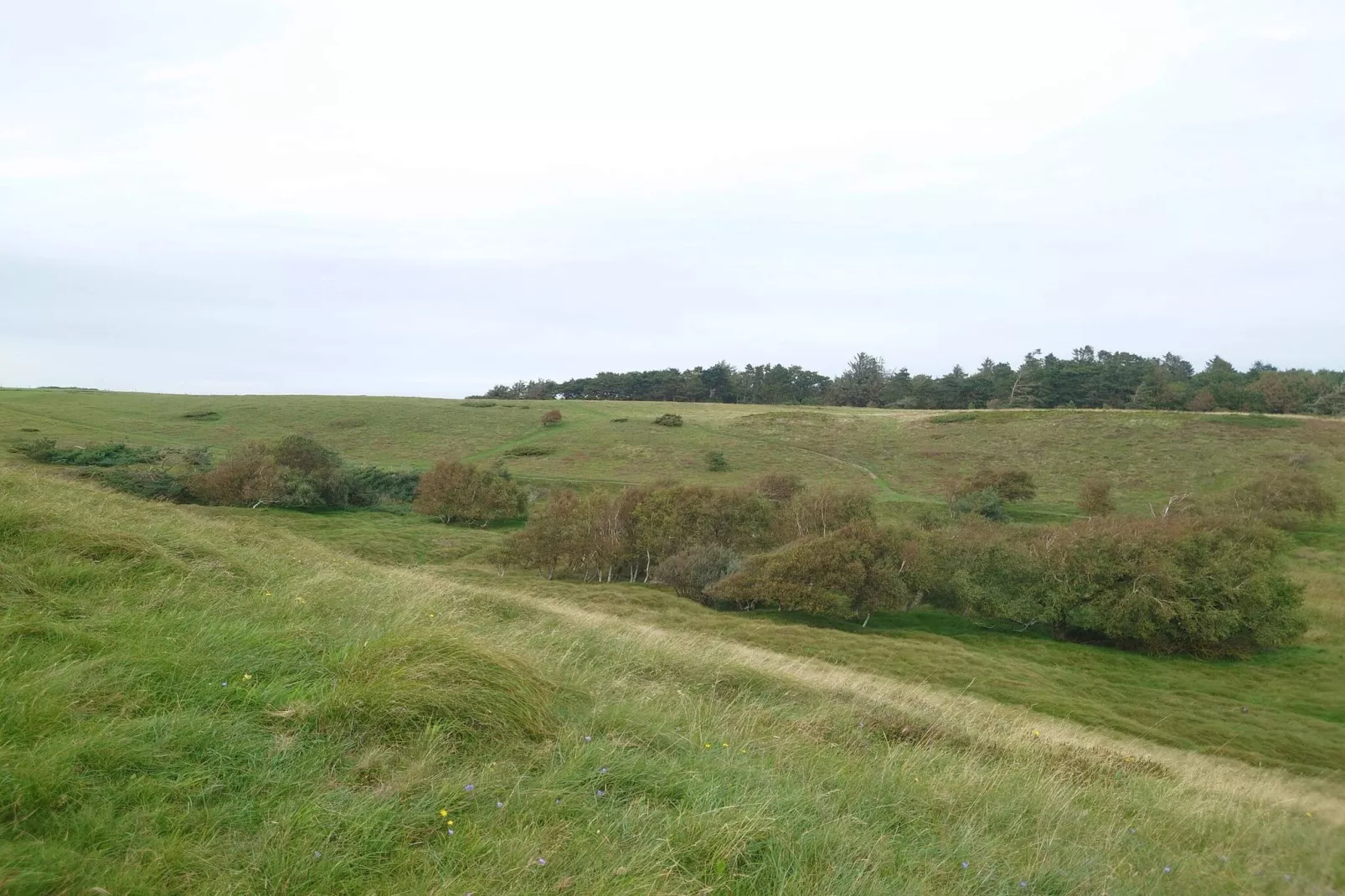 Cozy Beach House in Rageleje - By Traum Ferienwohnungen-Untagged