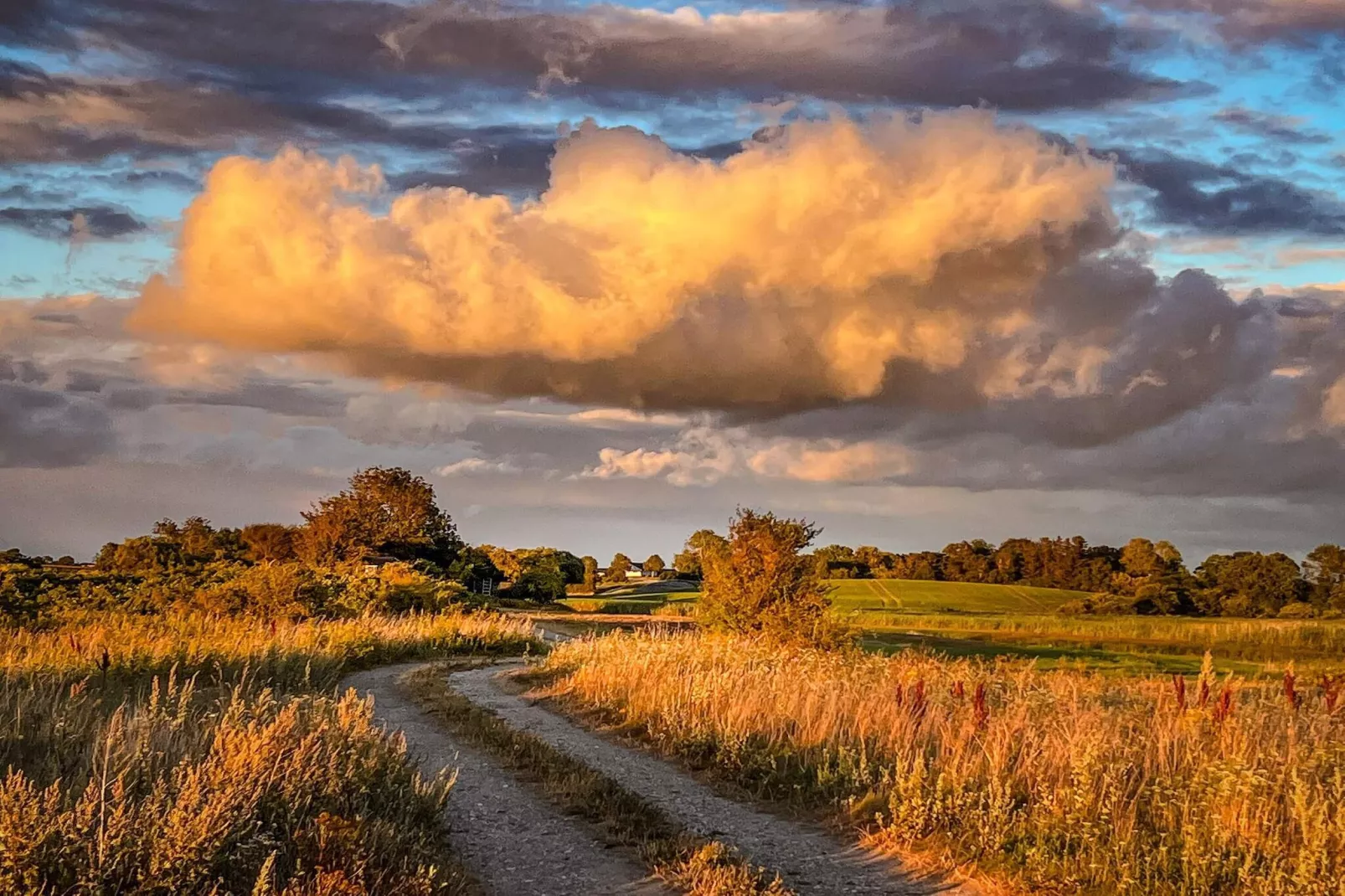Retraite de luxe près de la mer -- By Traum Ferienwohnungen-Non tagué