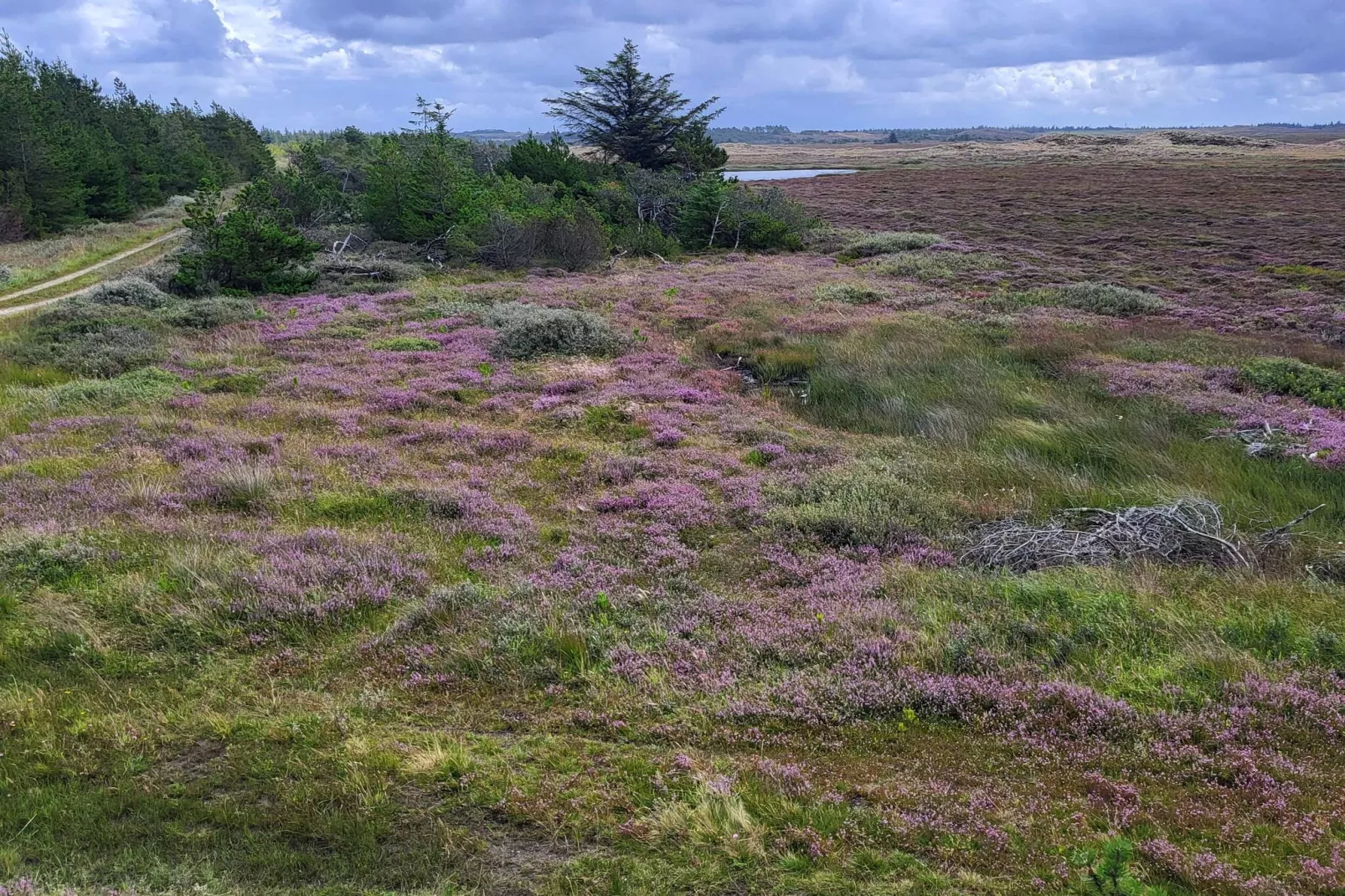 Gemutliches Refugium mit Spa -- By Traum Ferienwohnungen-Nicht zugeordnet