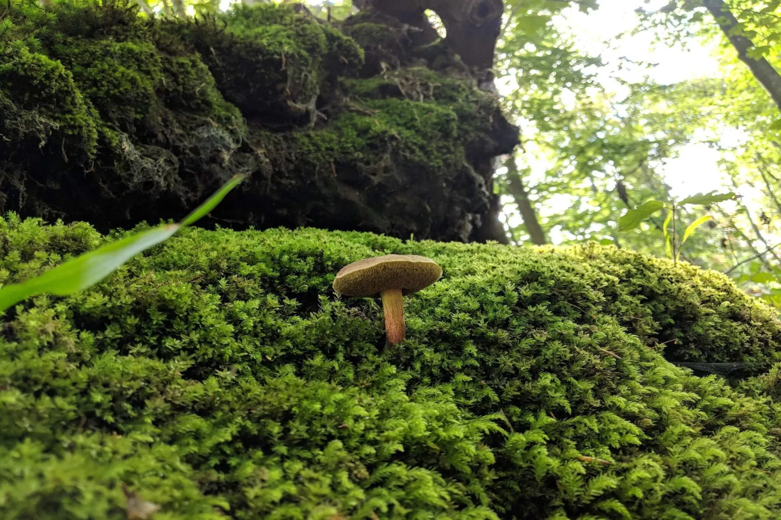 Villa de luxe avec piscine a Lohals -- By Traum Ferienwohnungen-Non tagué