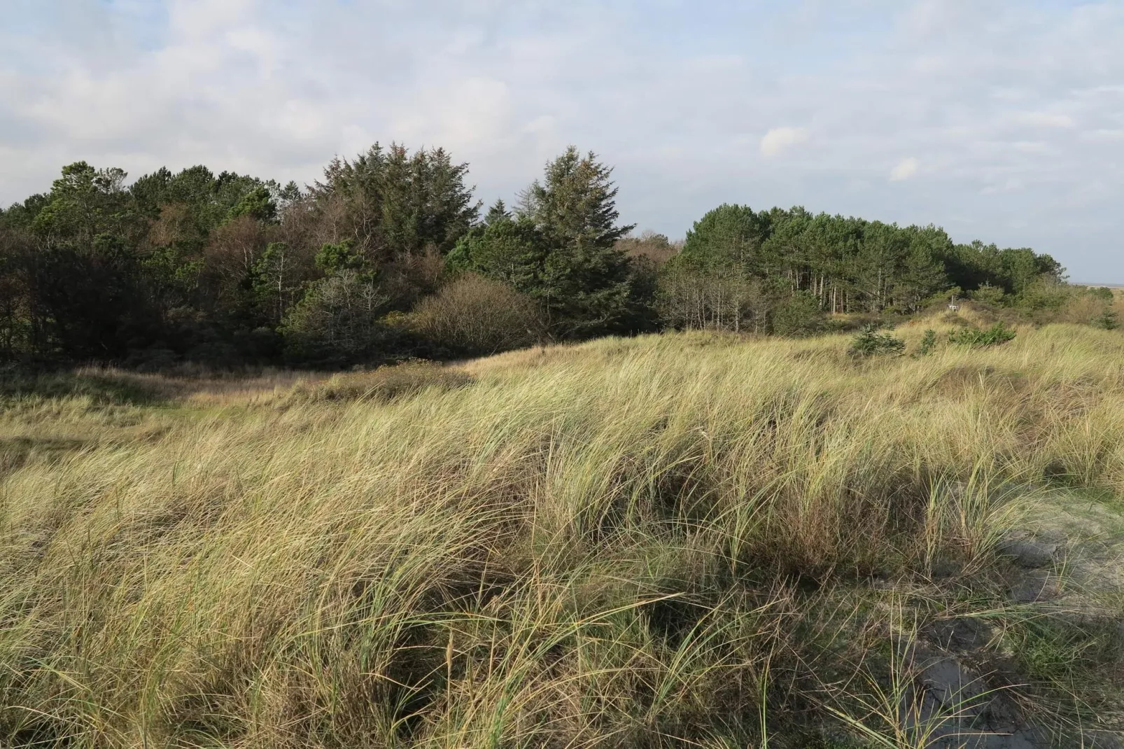 5 person holiday home in Strandby-By Traum-Untagged