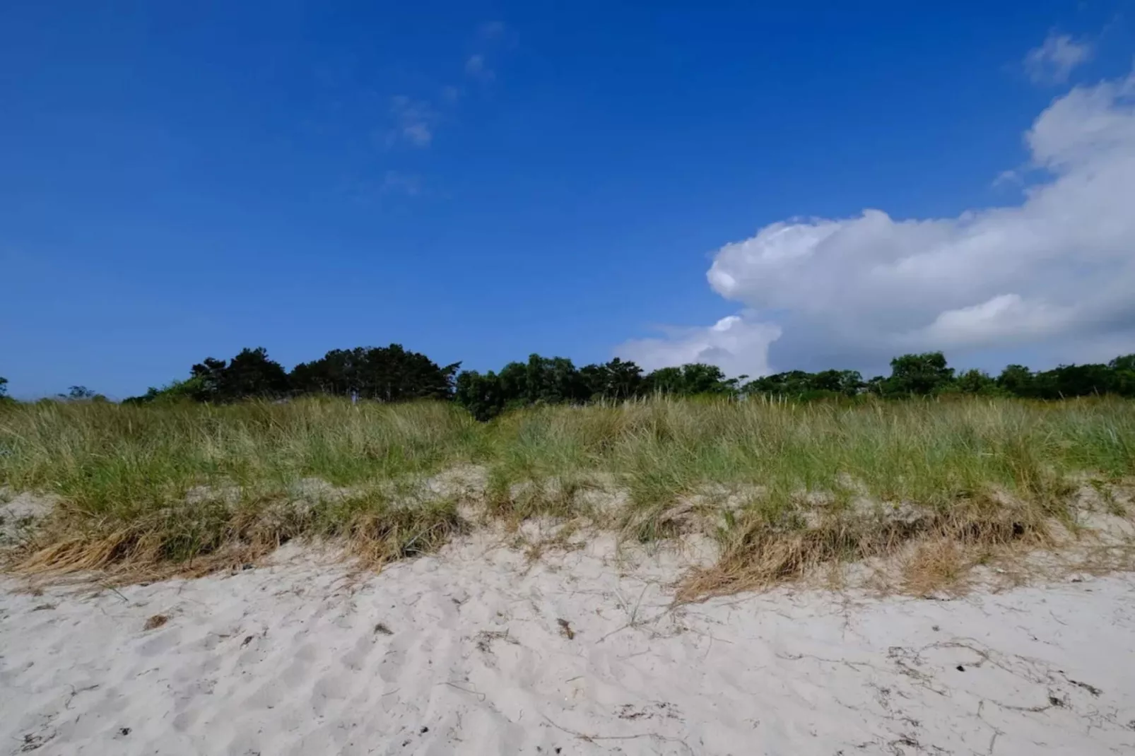 Maison de vacances pour 11 a Væggerløse-By Traum-Non tagué