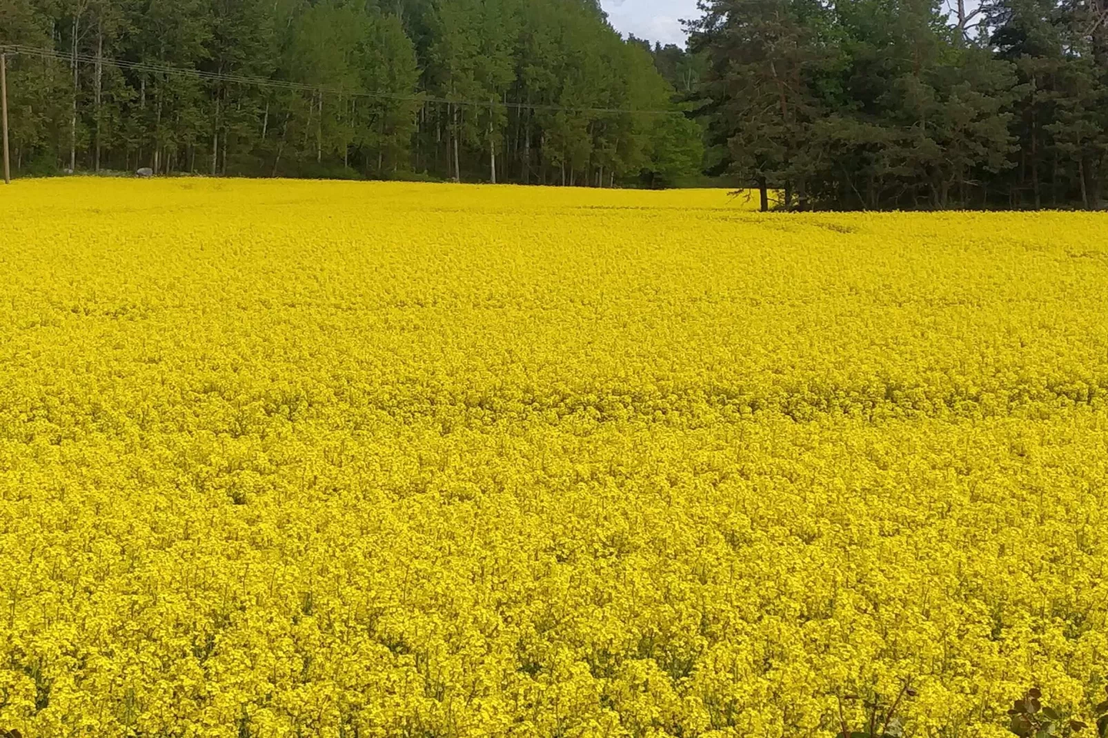 4 Personen Ferienhaus in TORSHÄLLA-By Traum-Nicht zugeordnet