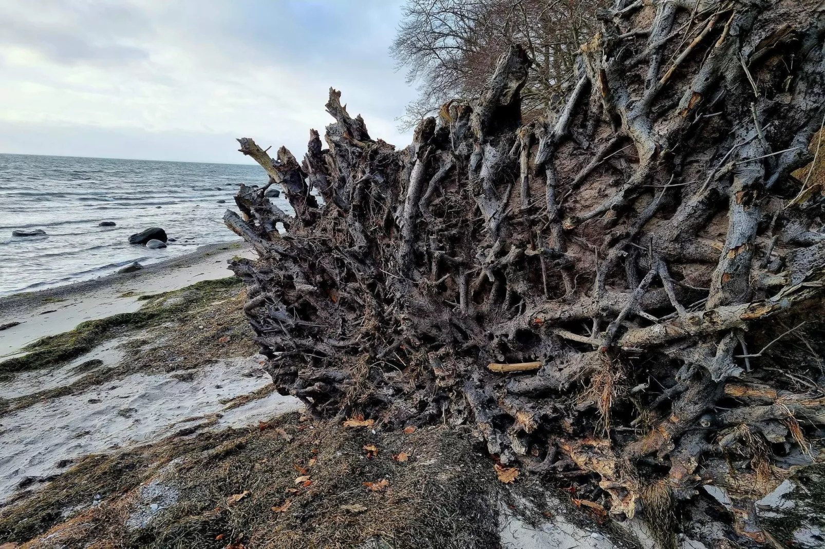 4 Personen Ferienhaus in Faxe Ladeplads-By Traum-Wasserblick