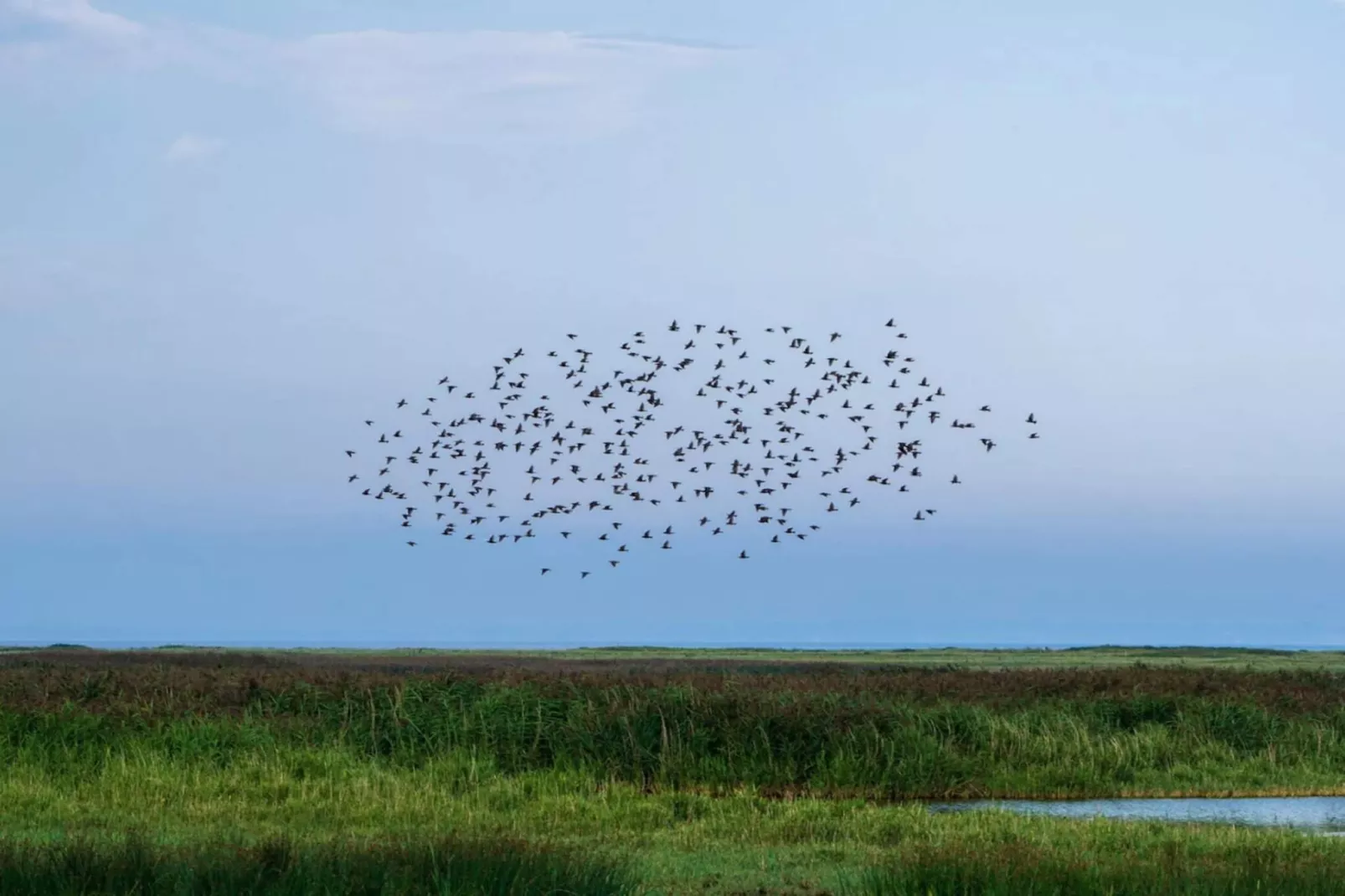 Maison de vacances pour 6 a Vinderup-By Traum-Vue sur l'eau
