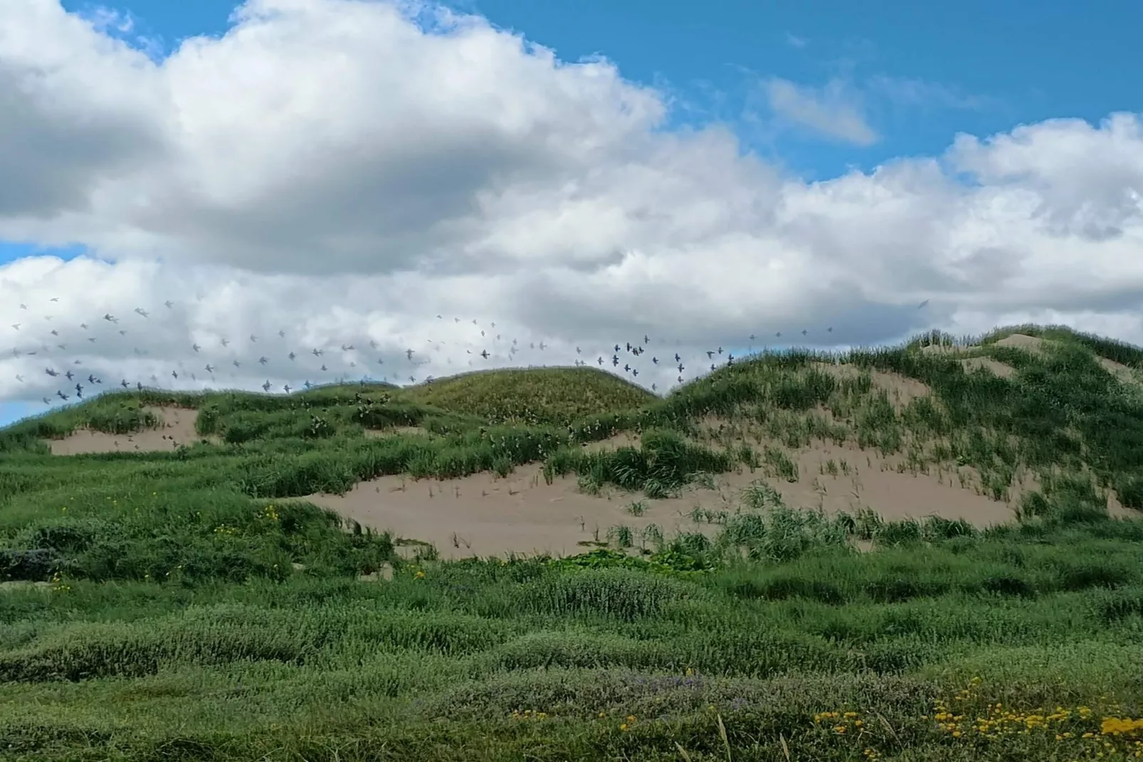 6 person holiday home in Ulfborg-By Traum-Untagged