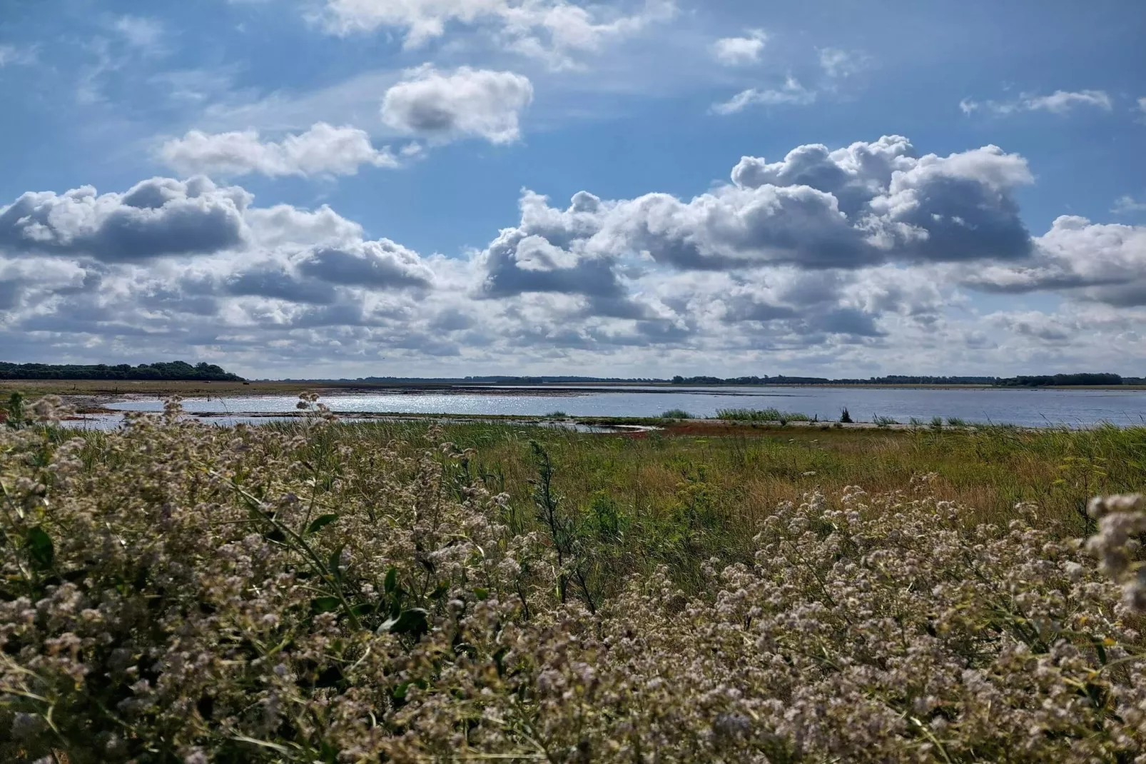 8 Personen Ferienhaus in Bogense-By Traum-Wasserblick