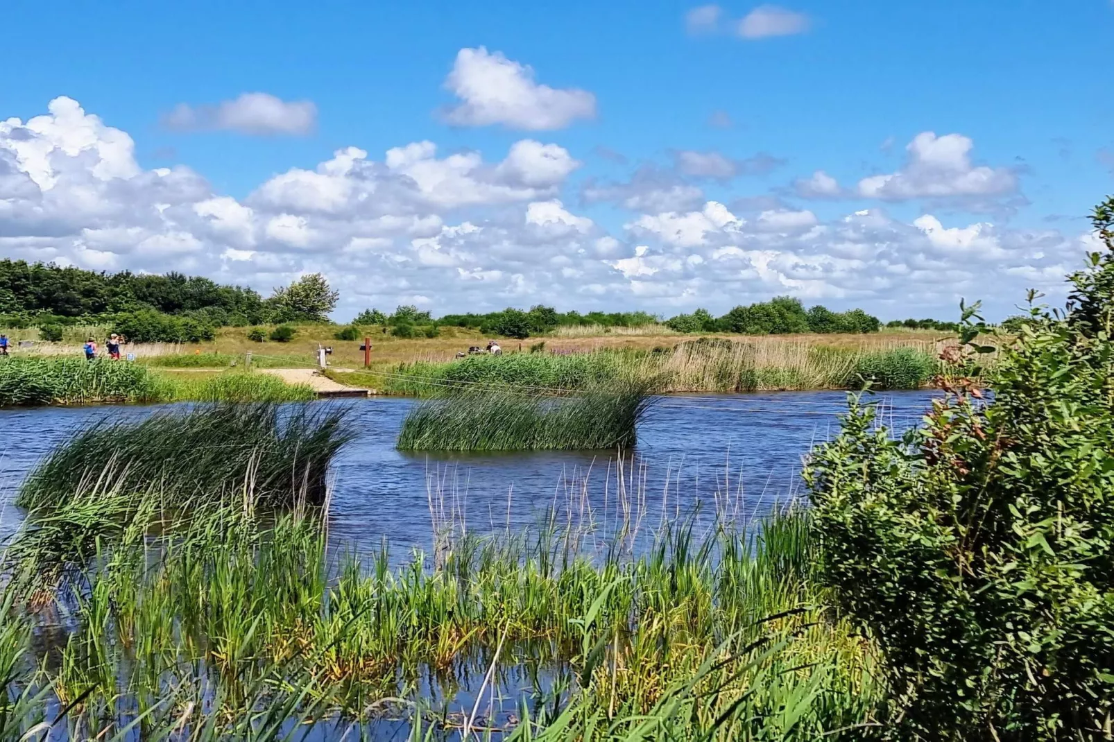 10 Personen Ferienhaus in Tarm-By Traum-Wasserblick