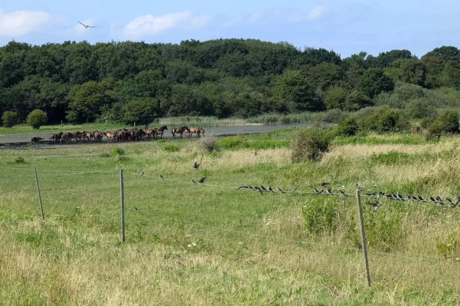 Family cottage for eight guests - Untagged
