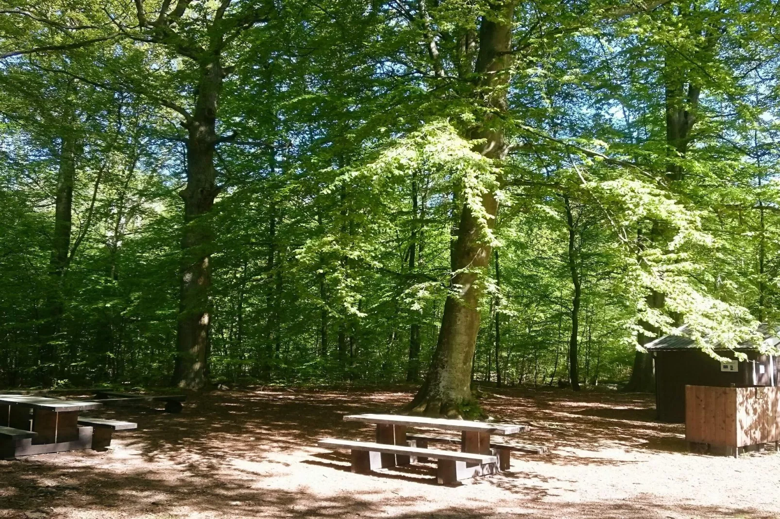 4 person holiday home in EVERÖD-By Traum-Untagged