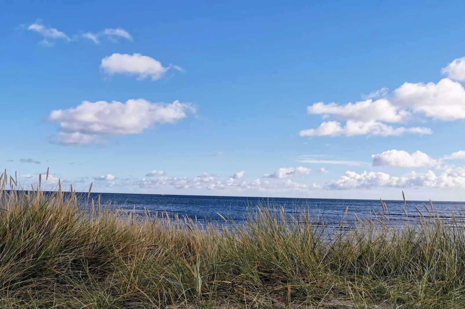 6 person holiday home in Hals-By Traum-Water view