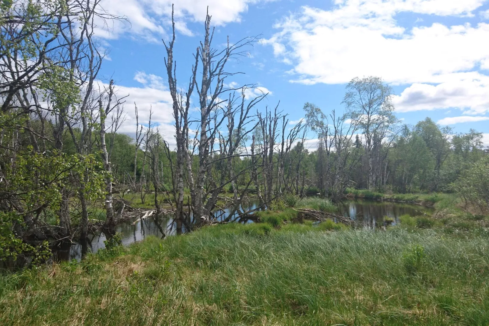 Rotes Bauernhaus in der Nähe von Forsheda-Nicht zugeordnet