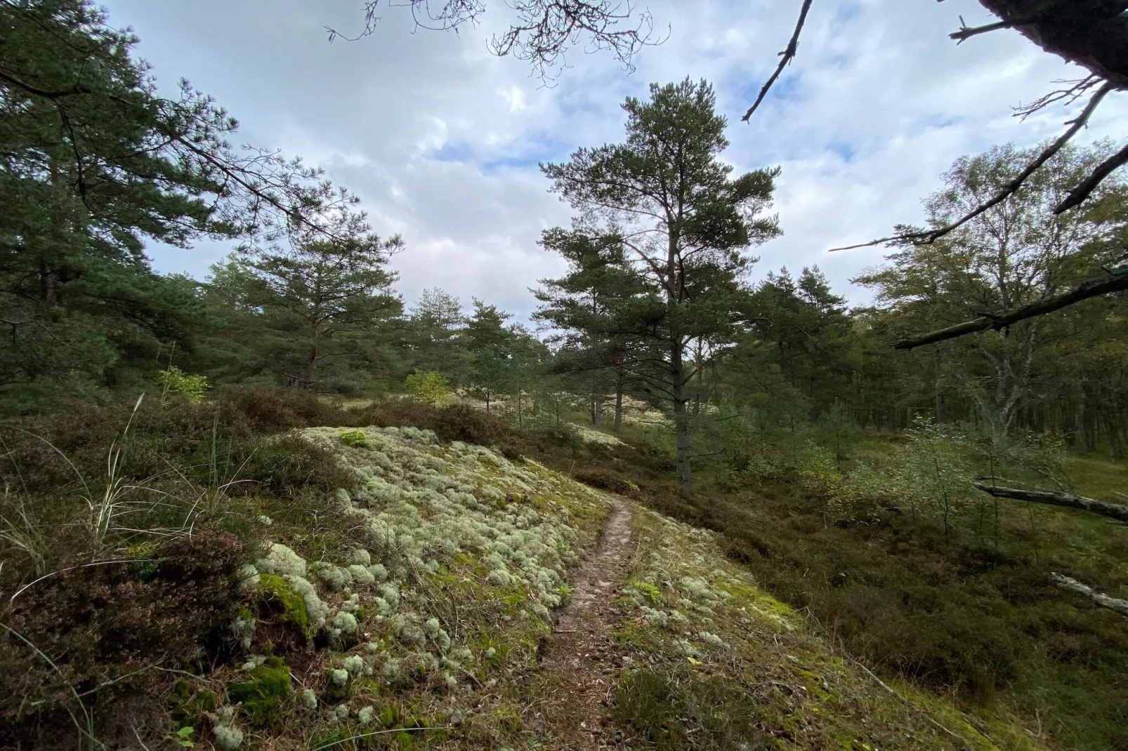 Maison de vacances pour 6 a Læsø-By Traum-Non tagué