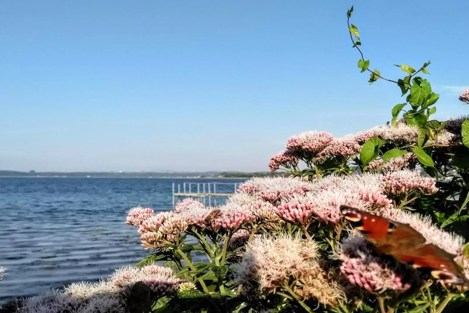 Maison de vacances pour 7 a Kolind-By Traum-Vue sur l'eau